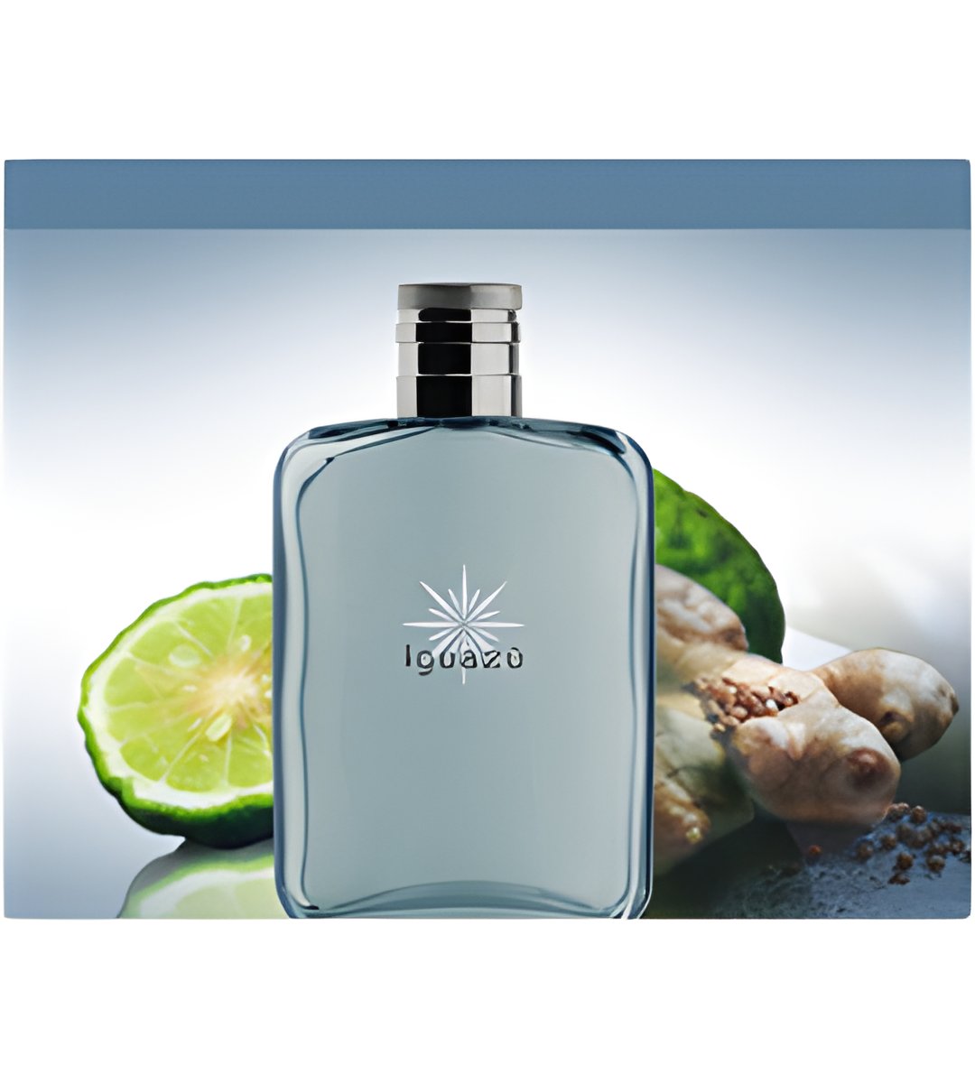 Picture of Iguazù fragrance