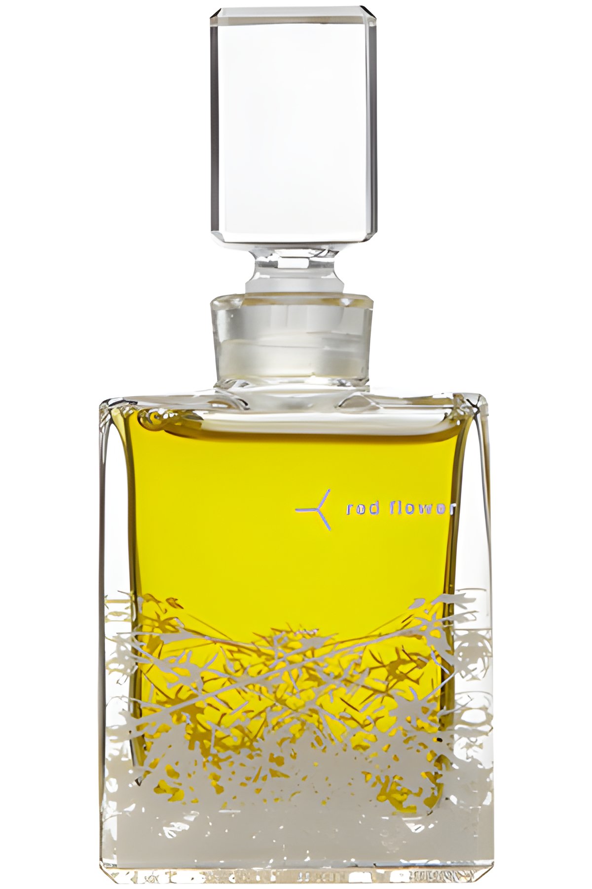 Picture of Champa fragrance