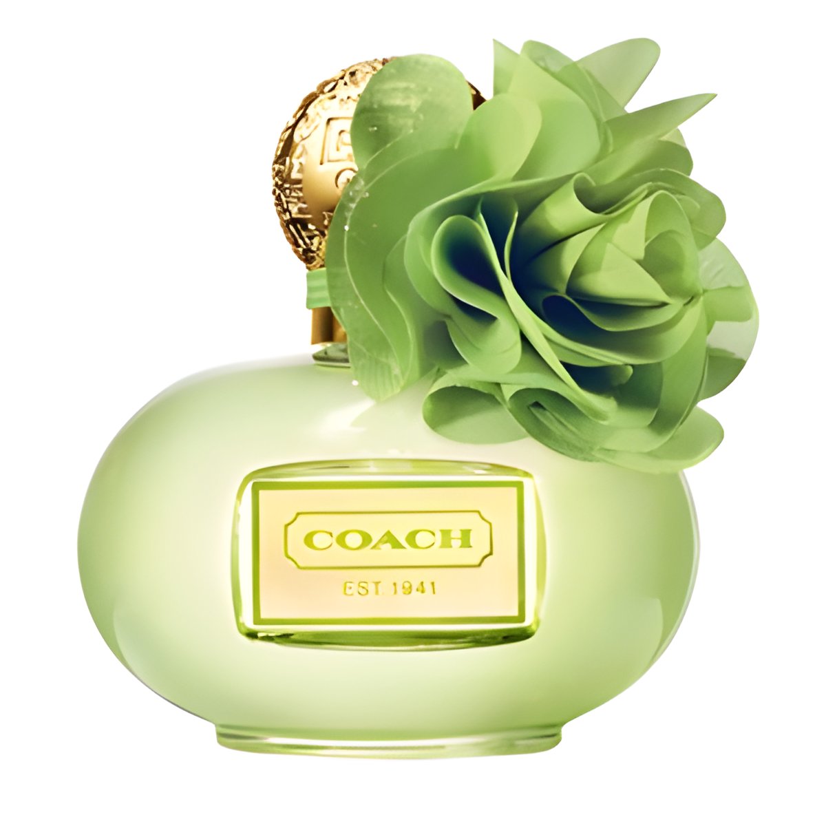 Picture of Coach Poppy Citrine Blossom fragrance