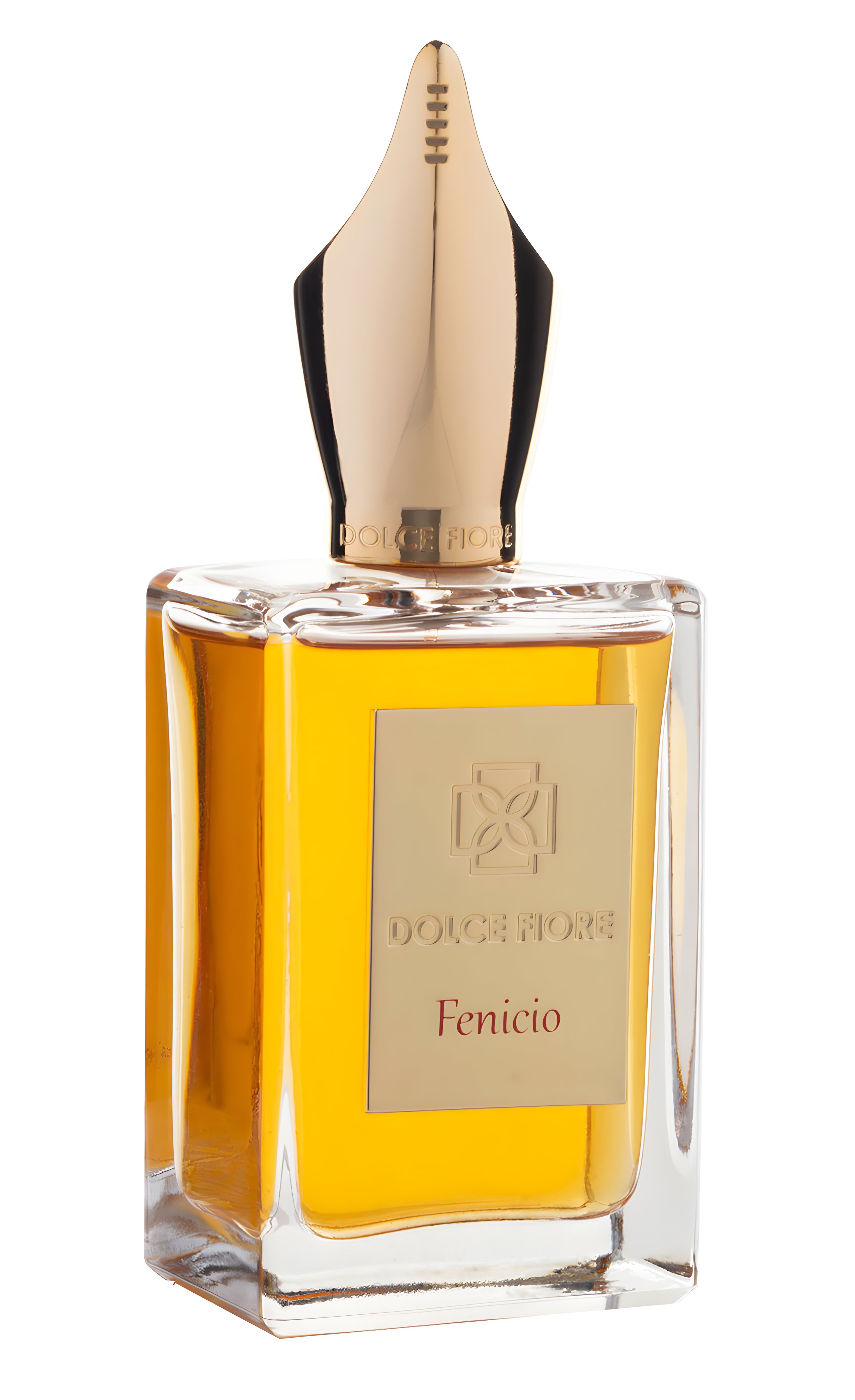 Picture of Fenicio fragrance