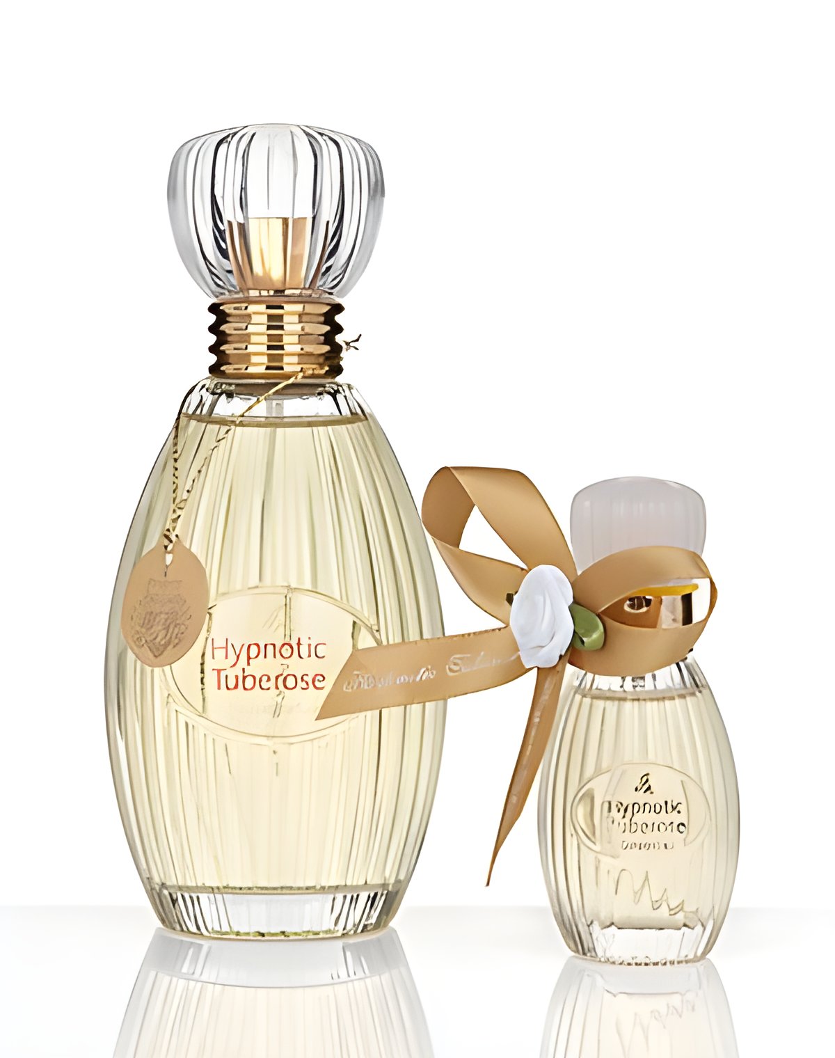 Picture of Hypnotic Tuberose fragrance