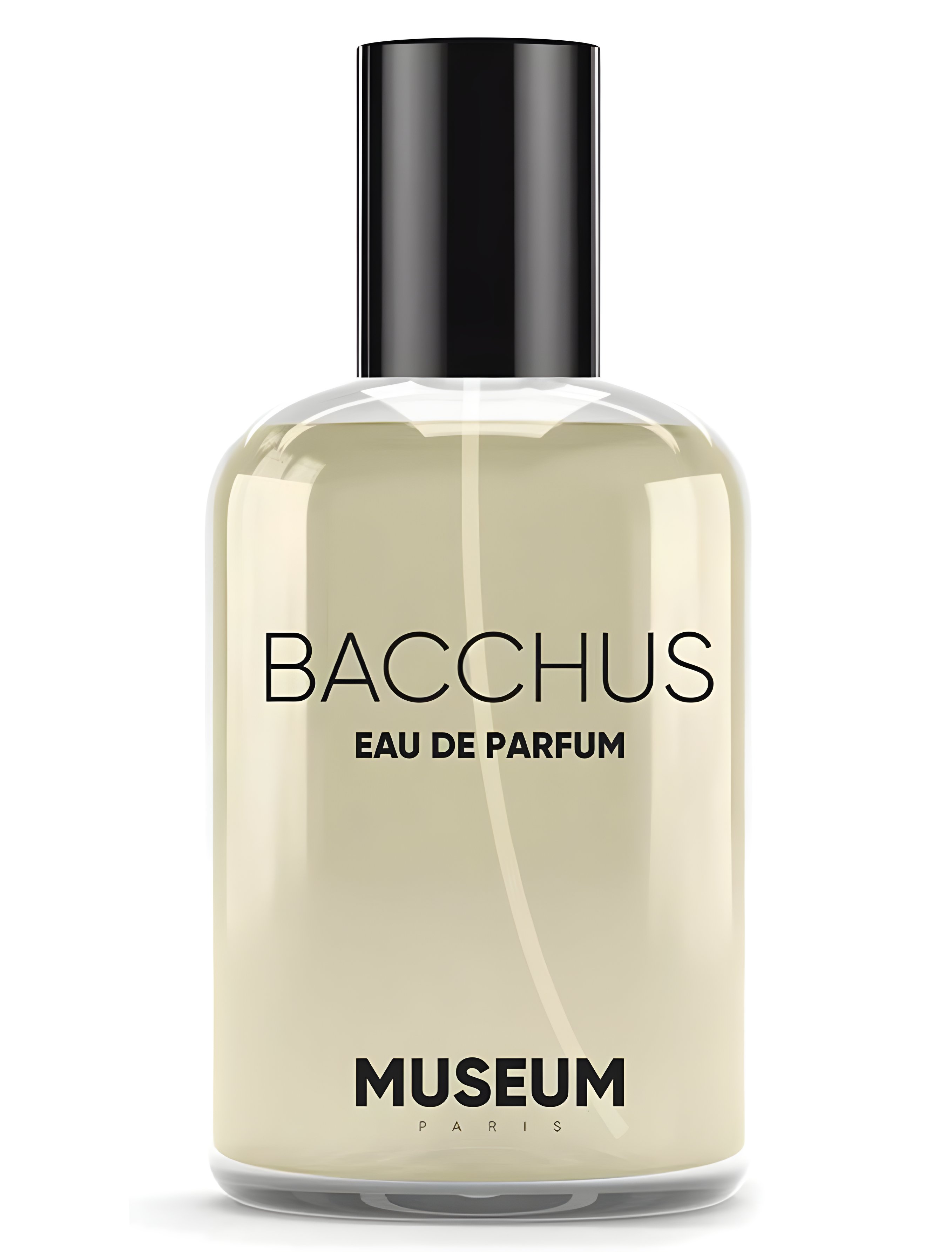 Picture of Museum Bacchus fragrance