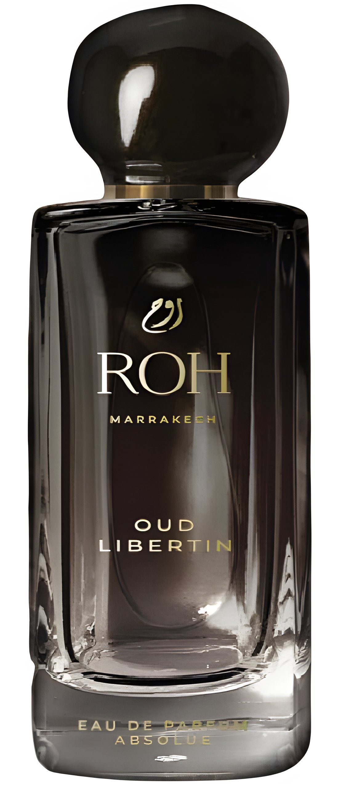 Picture of Oud Libertin fragrance