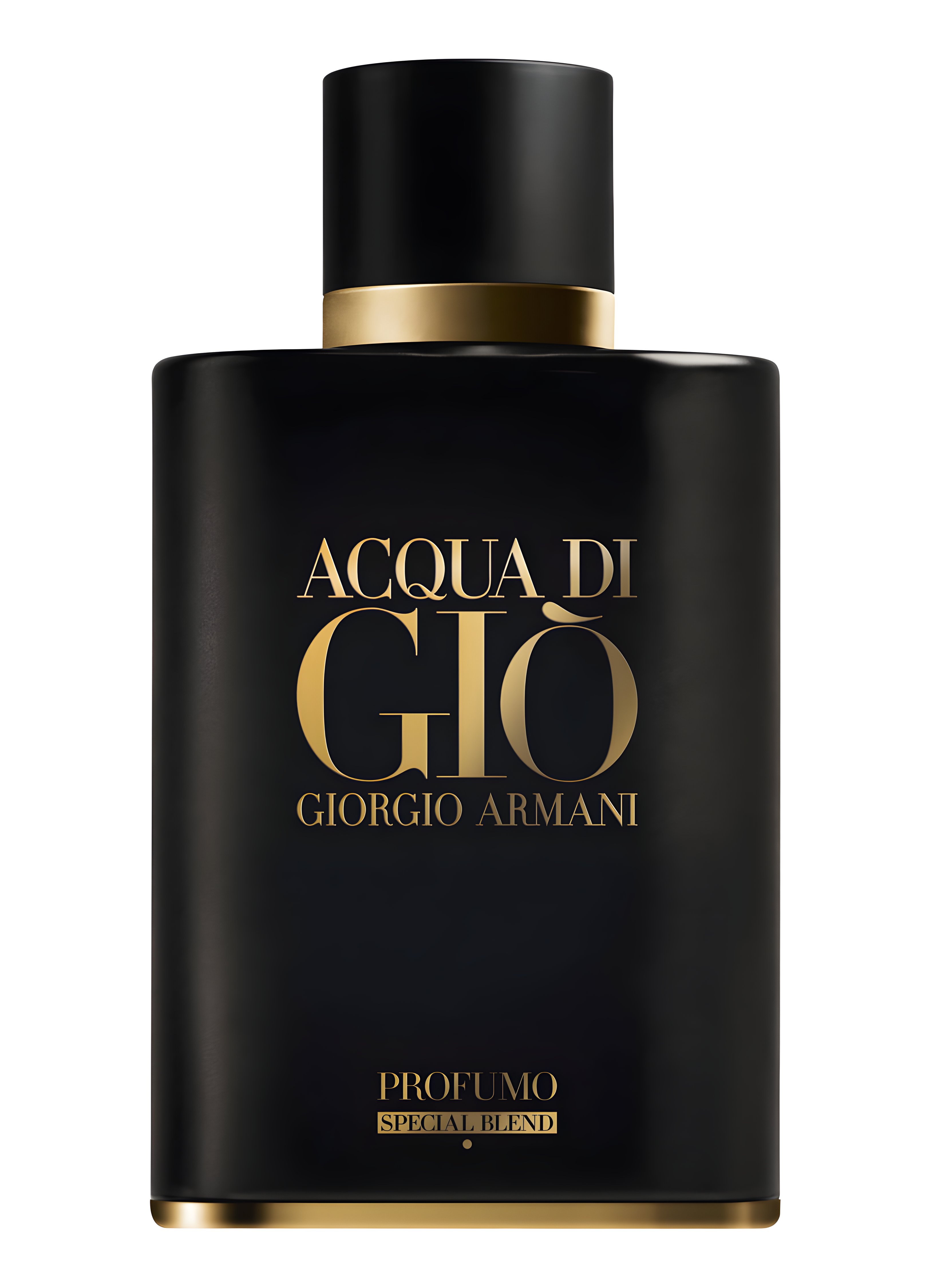 Picture of Acqua Di Gio Profumo Special Blend fragrance