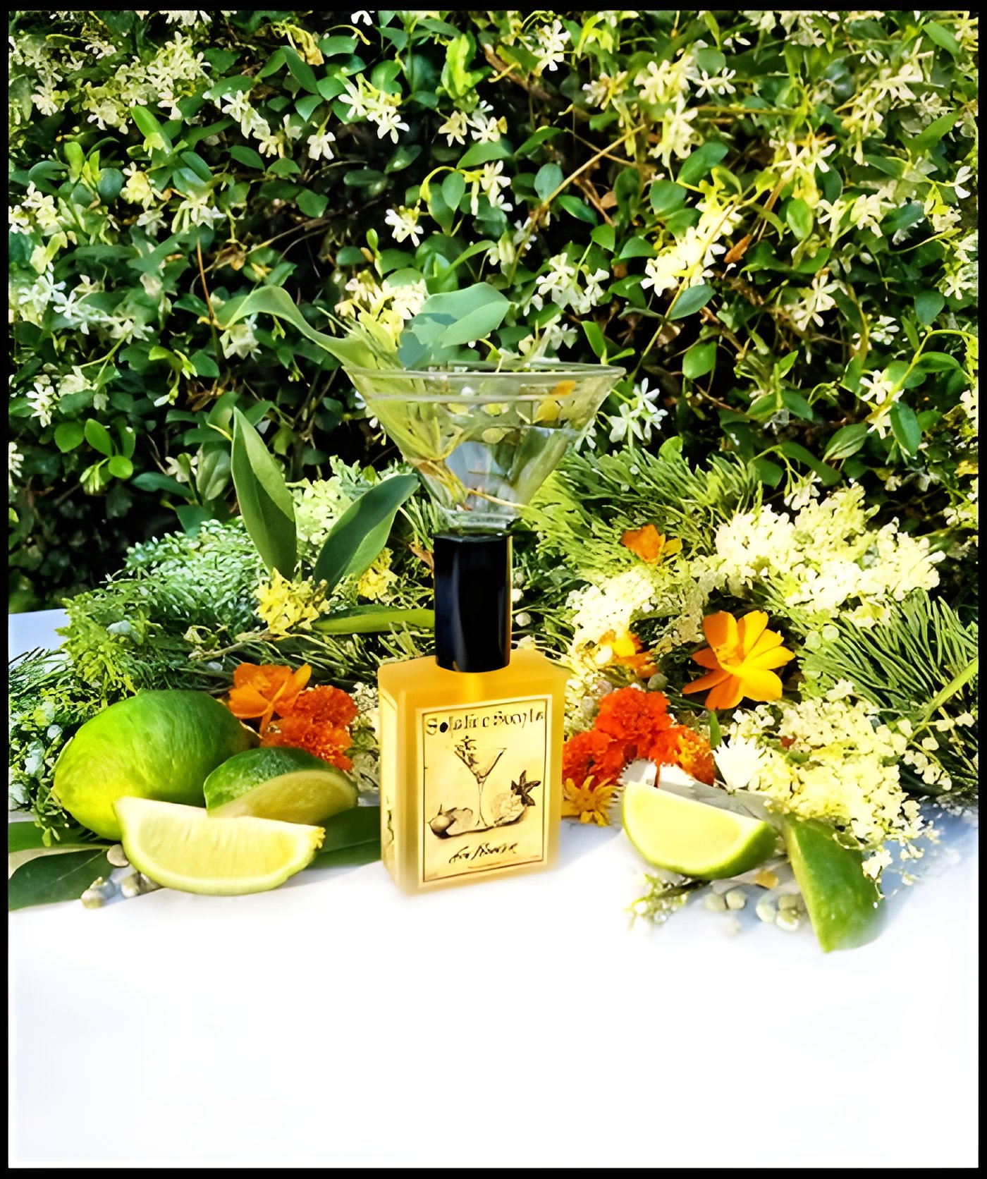 Picture of Gin Flower fragrance