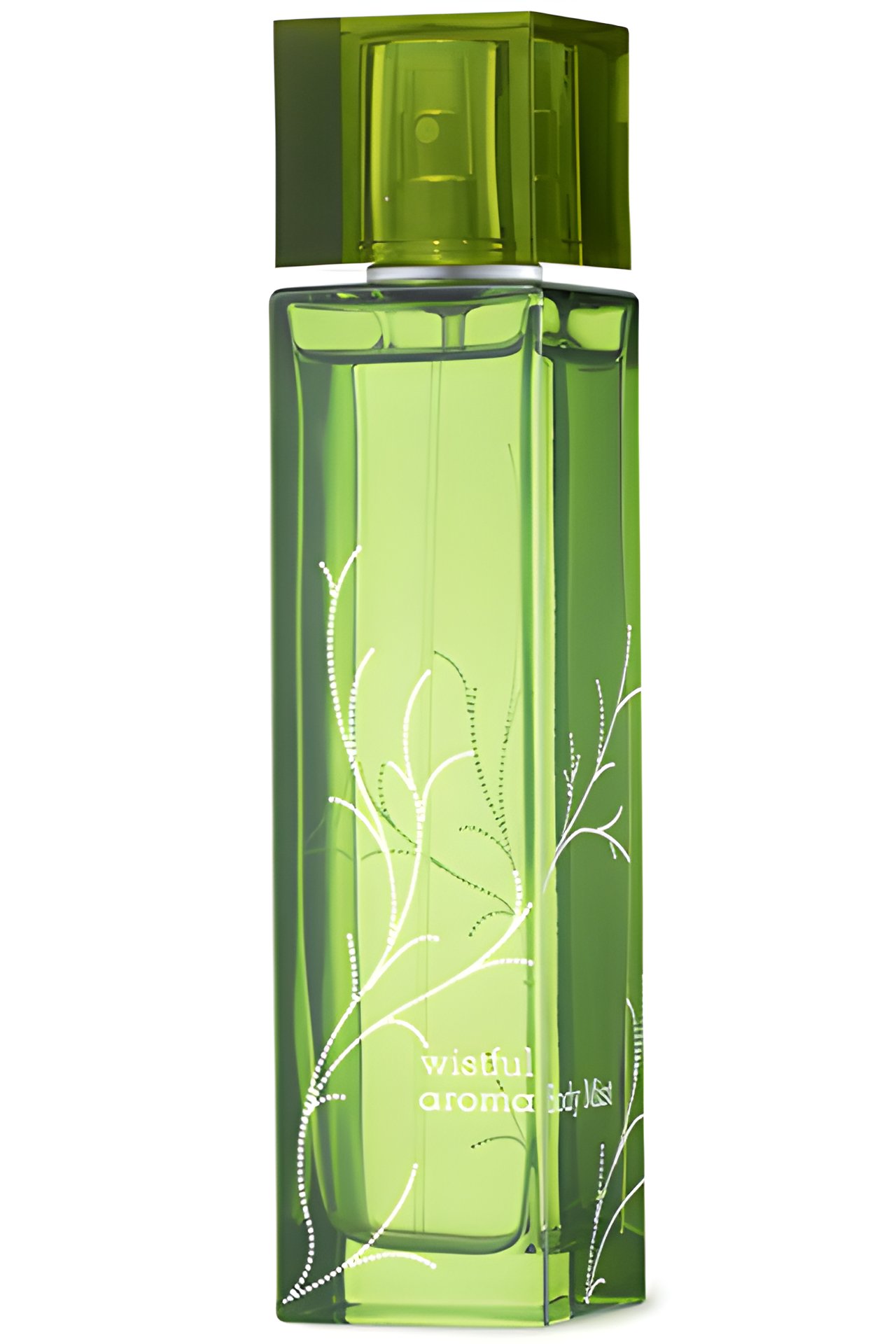 Picture of Wistful Aroma Body Mist fragrance