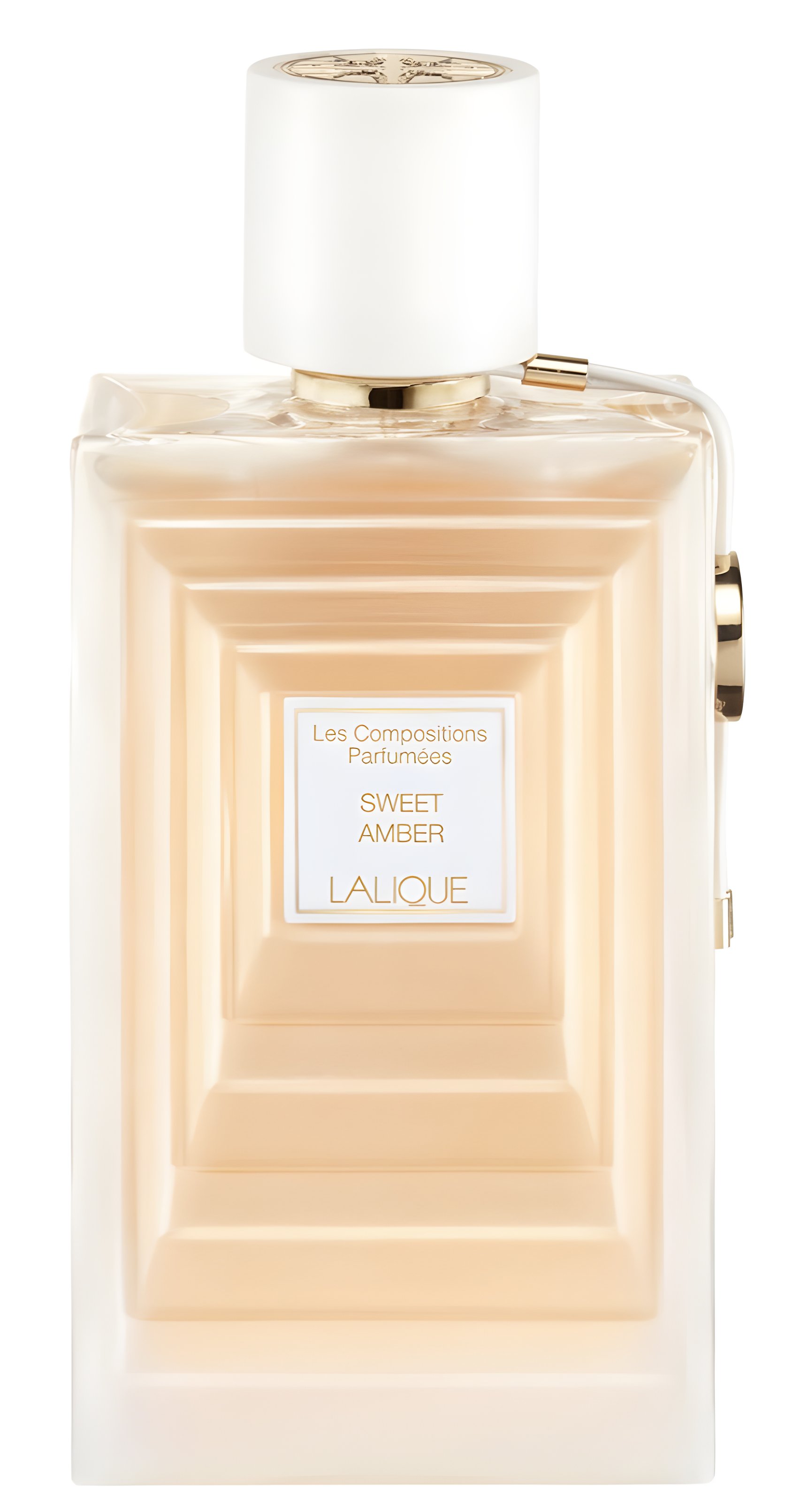 Picture of Sweet Amber fragrance