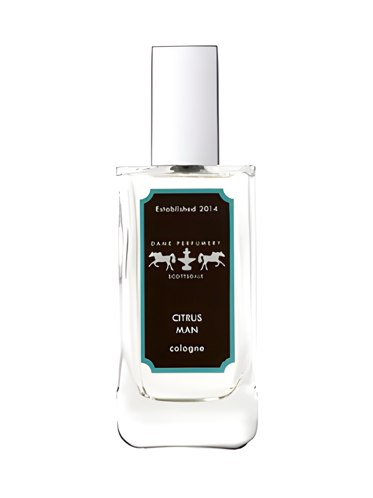 Picture of Citrus Man fragrance