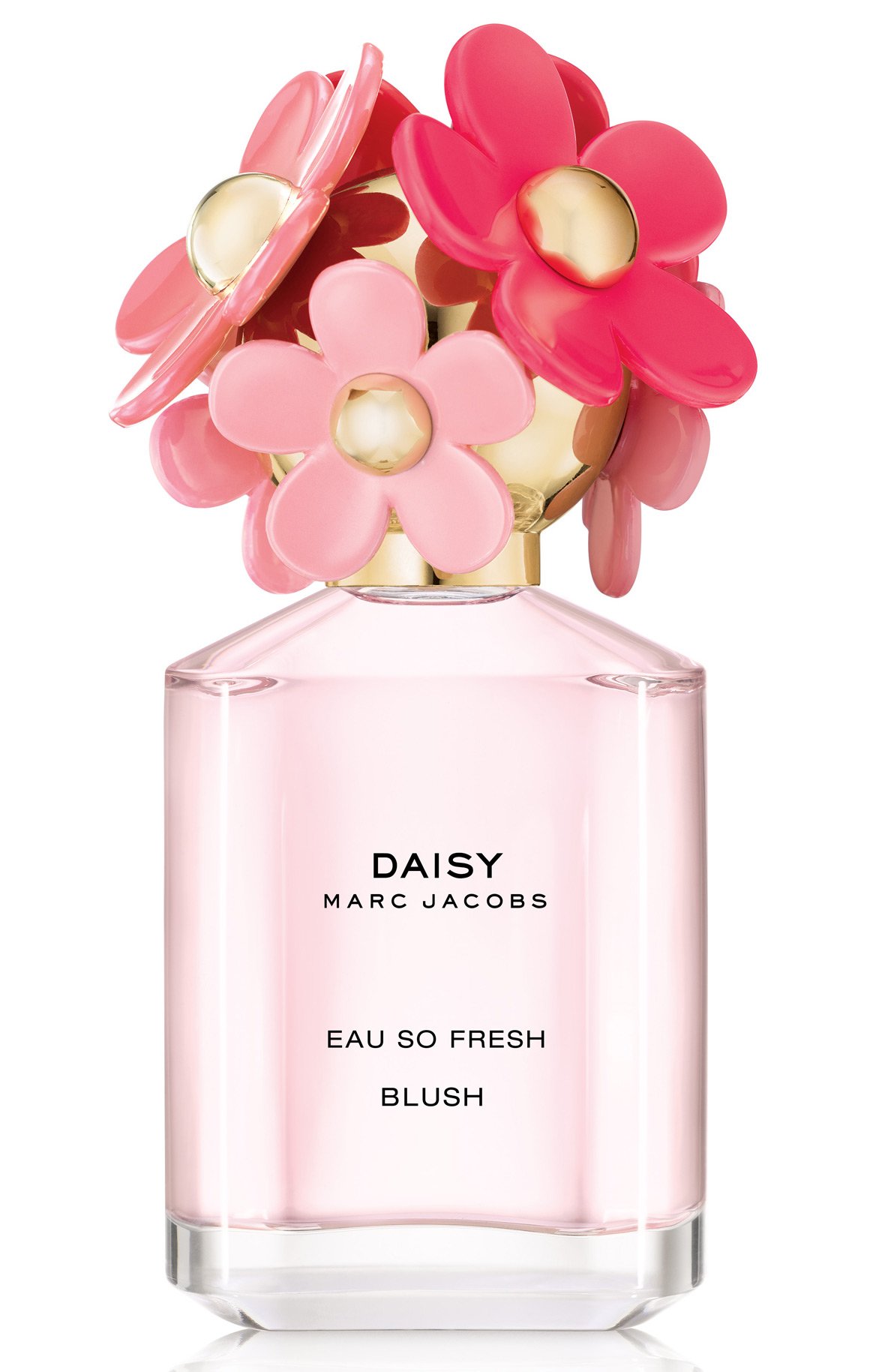 Picture of Daisy Eau So Fresh Blush fragrance