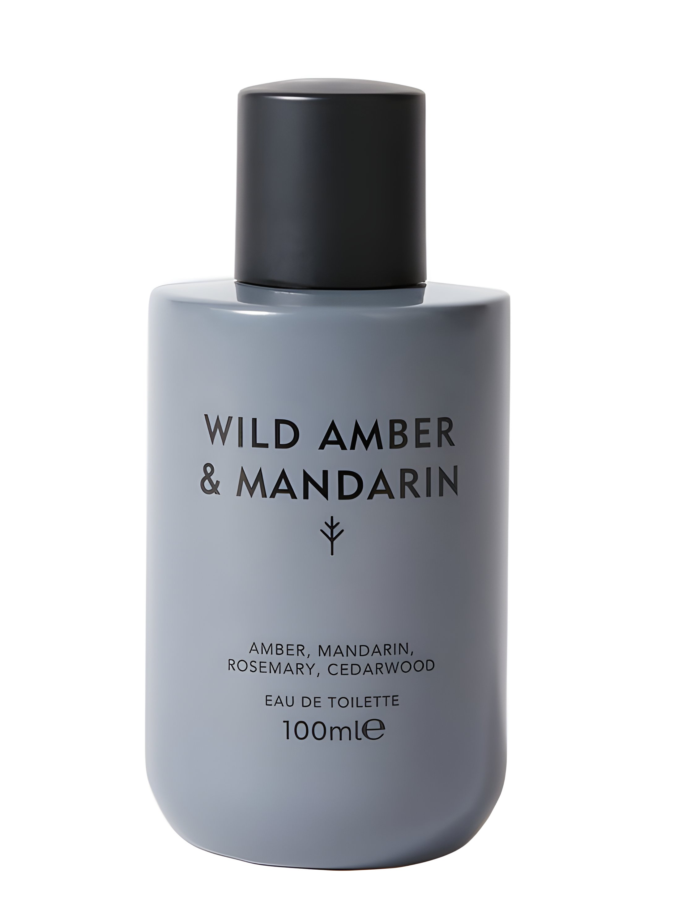 Picture of Wild Amber & Mandarin fragrance