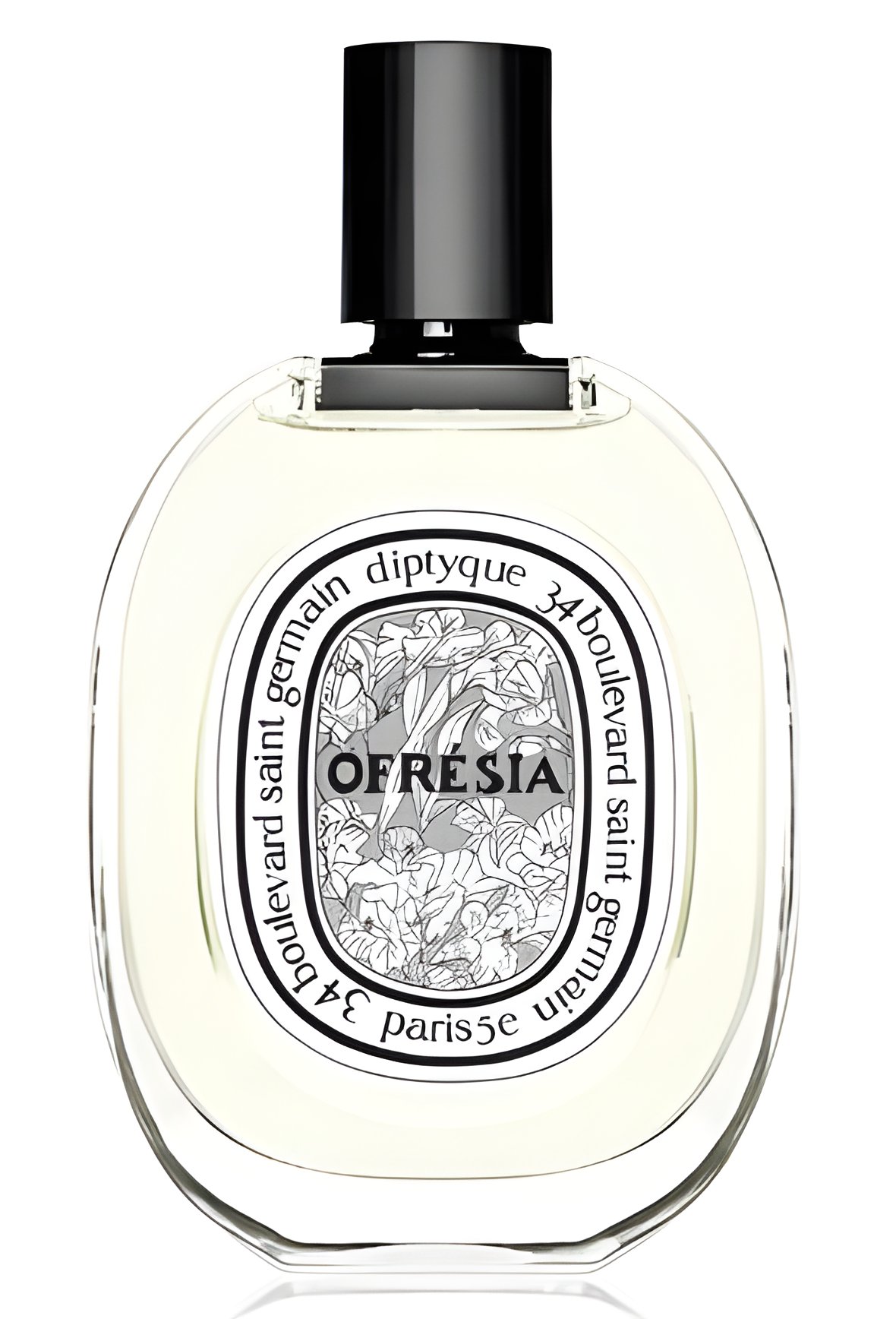 Picture of Ofresia Eau de Toilette fragrance