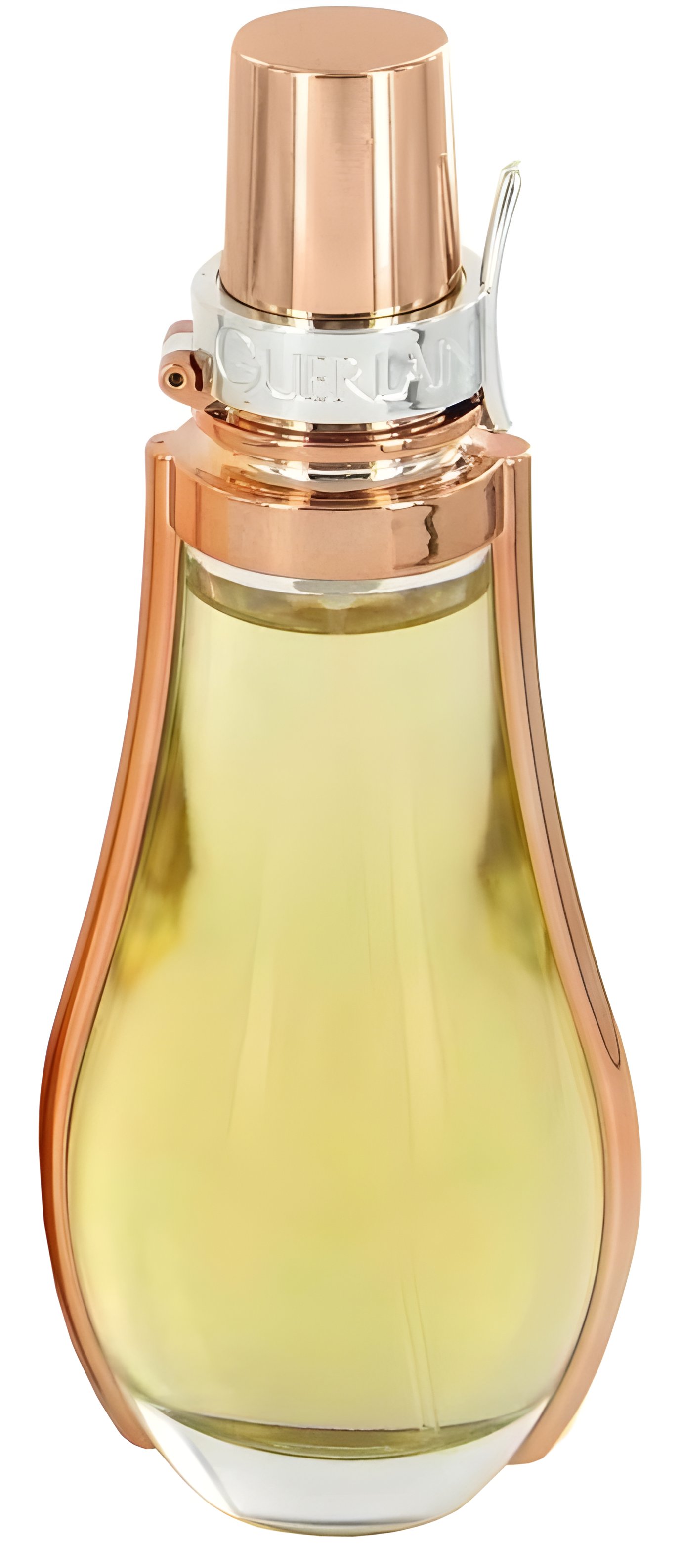 Picture of Coriolan fragrance