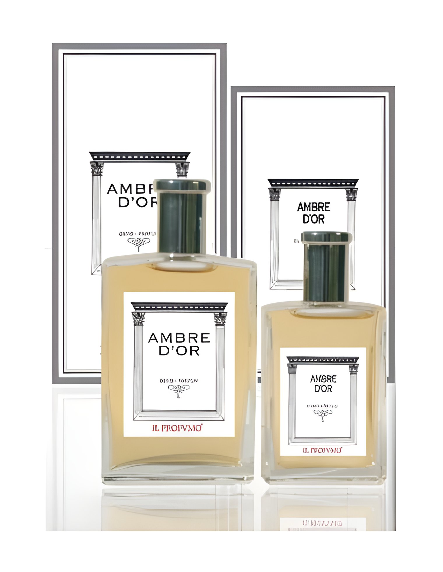 Picture of Ambre D or fragrance