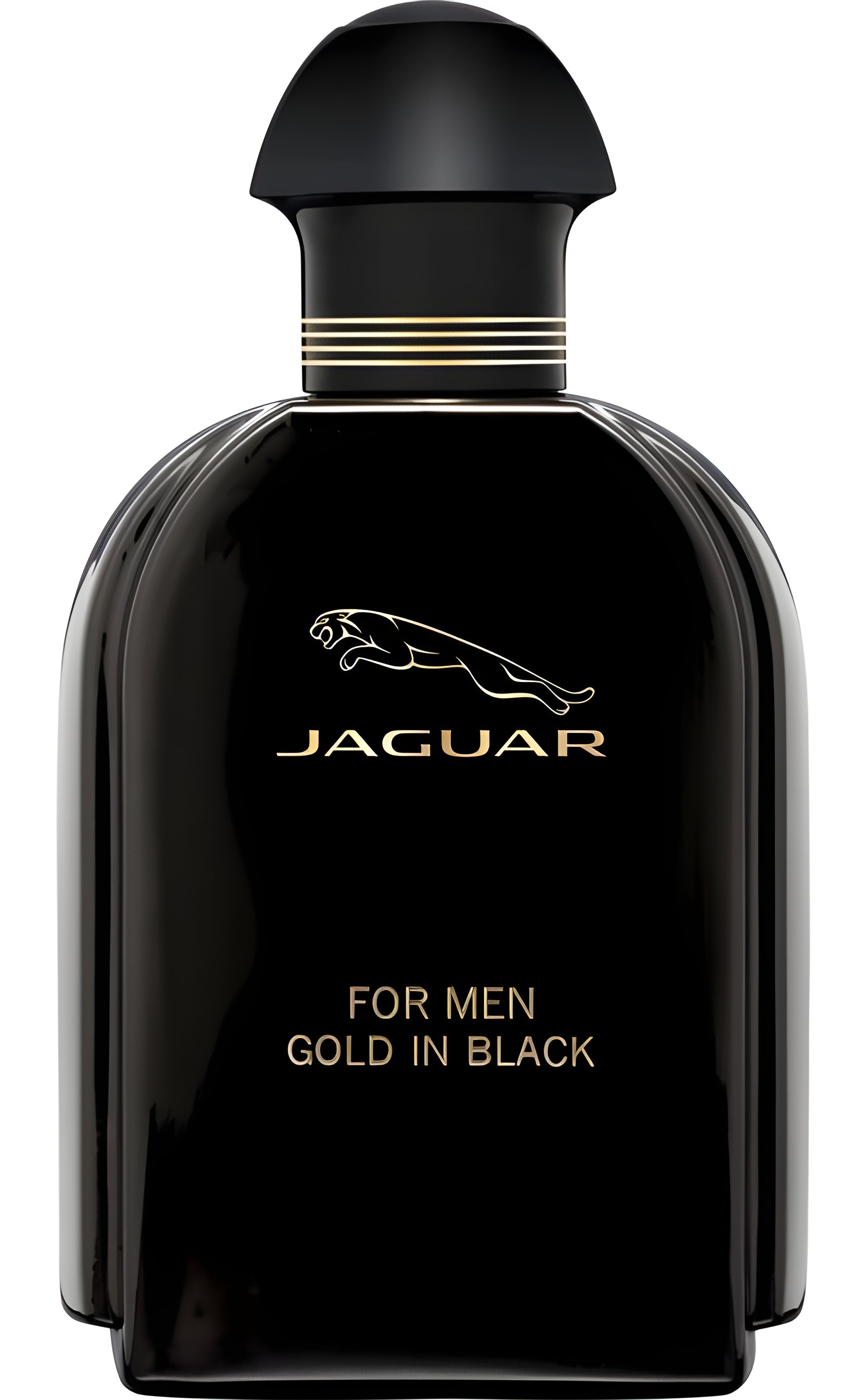 Picture of Jaguar for Men Gold in Black fragrance