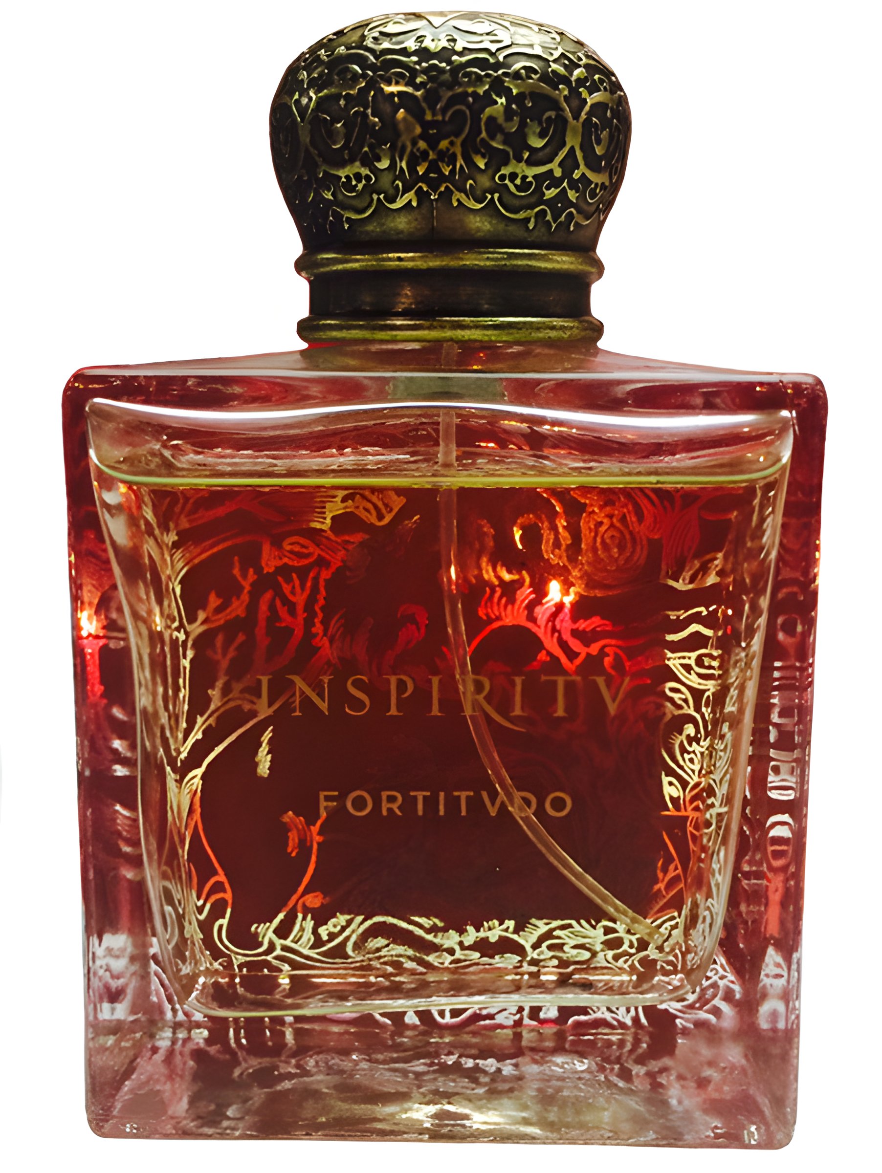 Picture of Fortitvdo (Fortitudo) fragrance