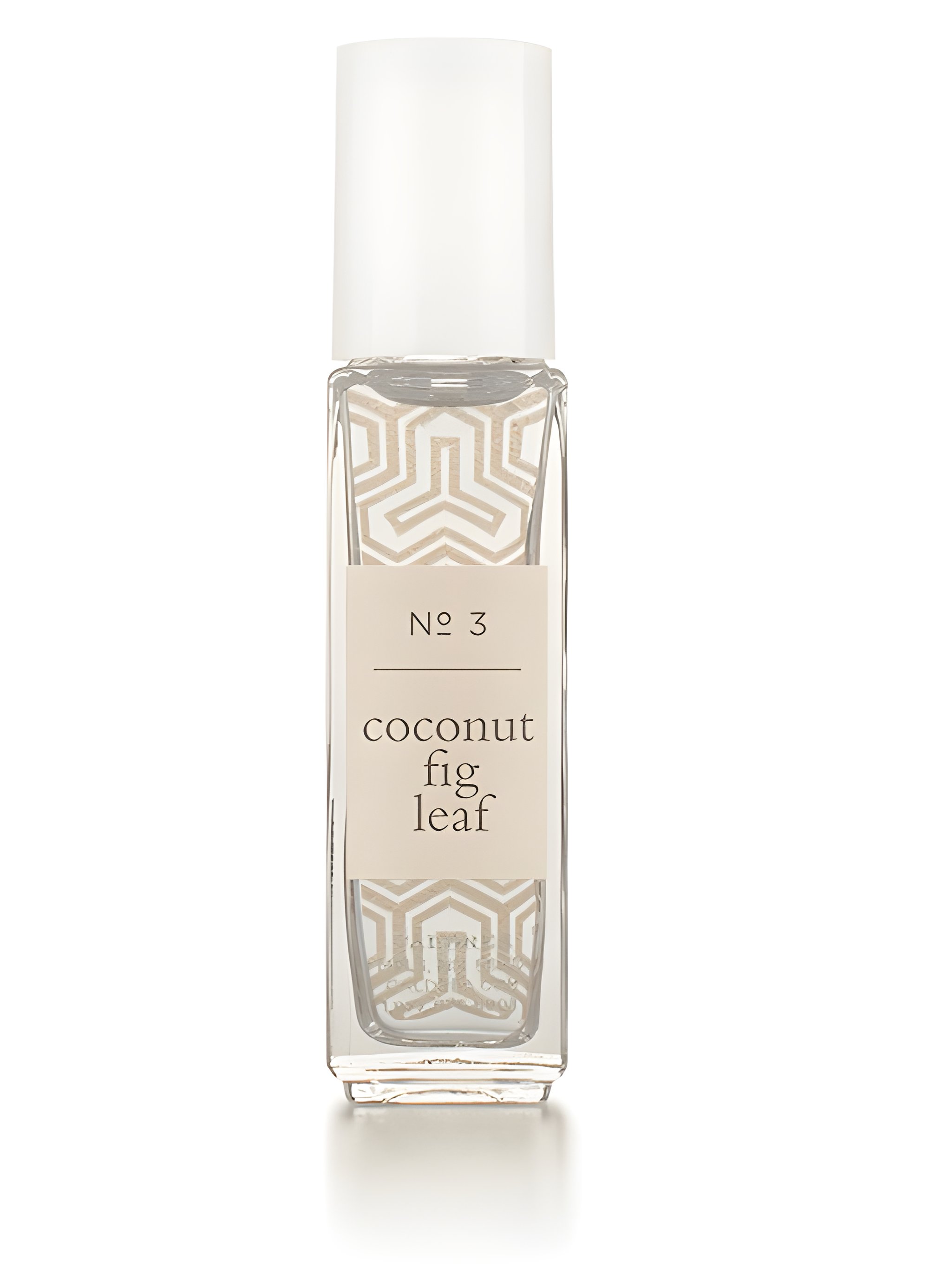 Picture of Coconut Fig Leaf fragrance