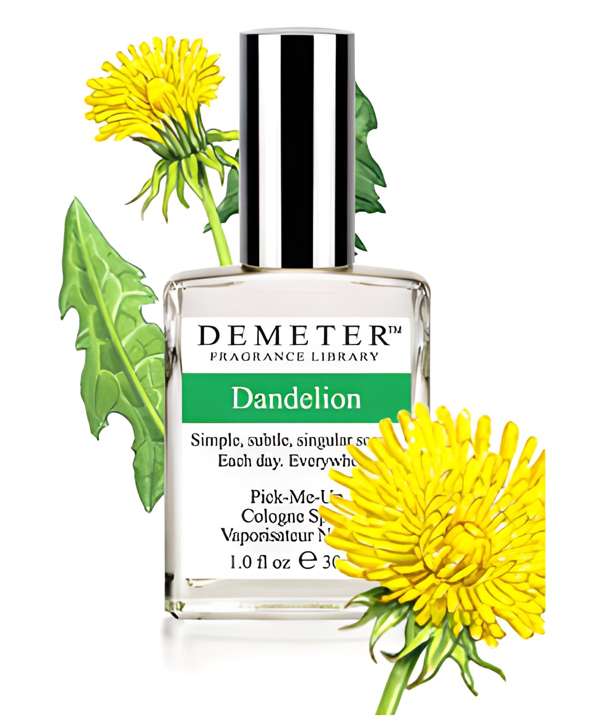 Picture of Dandelion fragrance