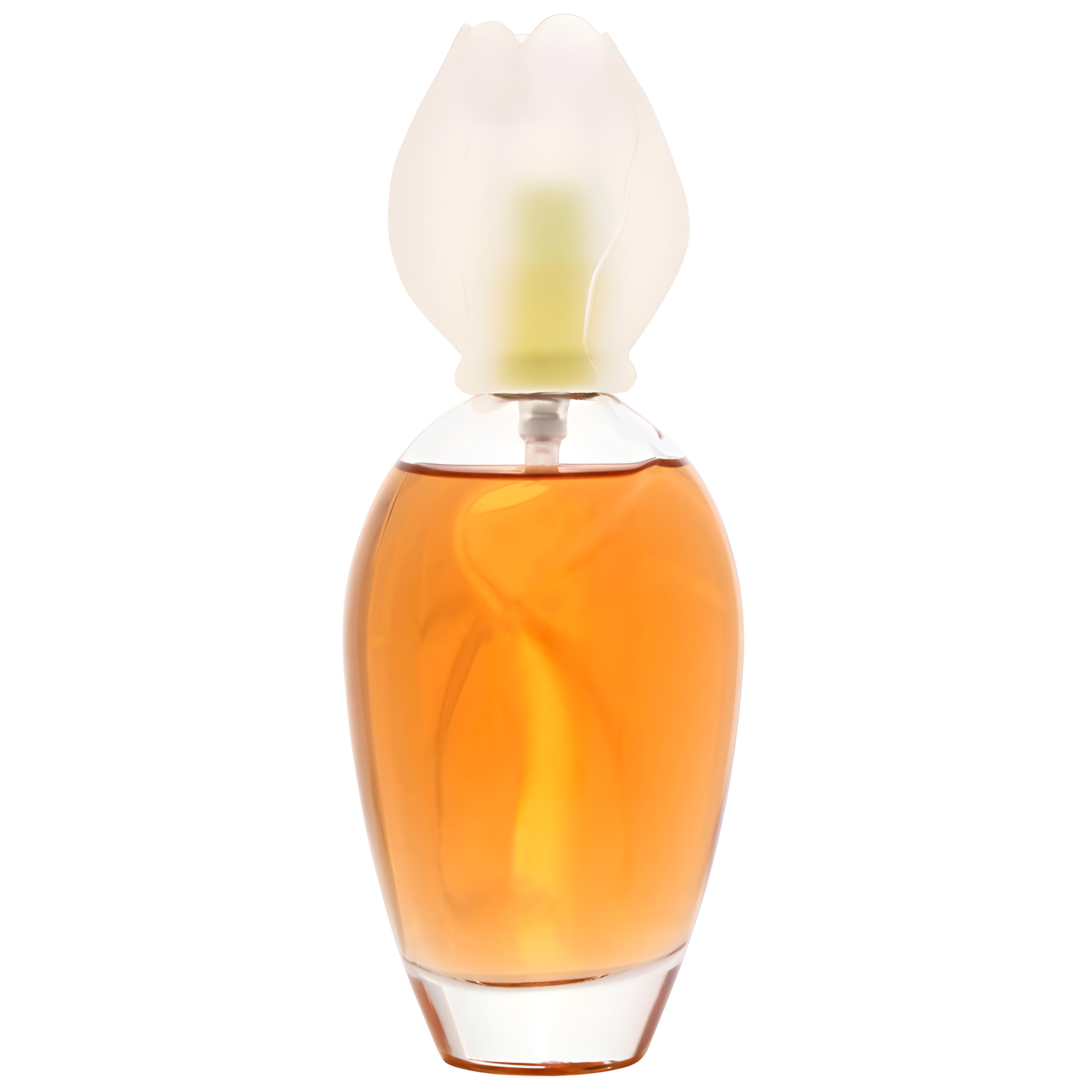 Picture of Fleur de Narcisse fragrance