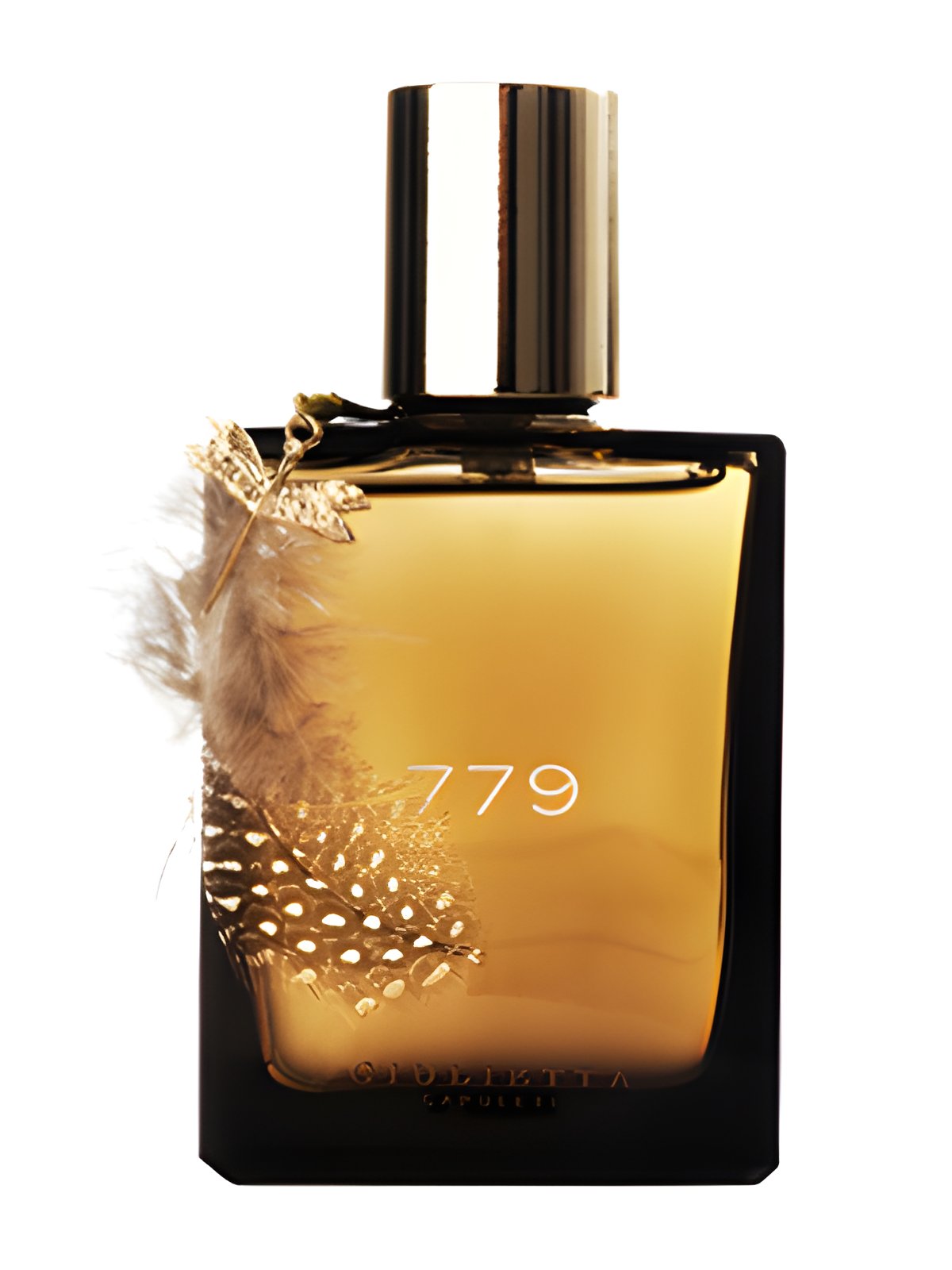 Picture of 779 fragrance