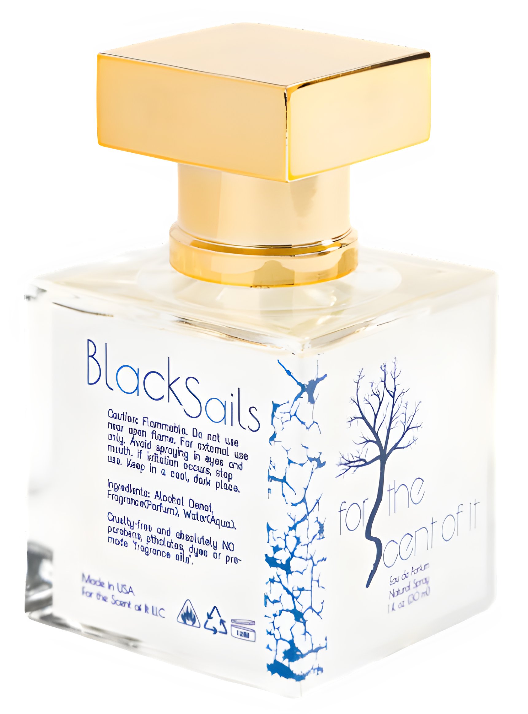 Picture of Black Sails fragrance