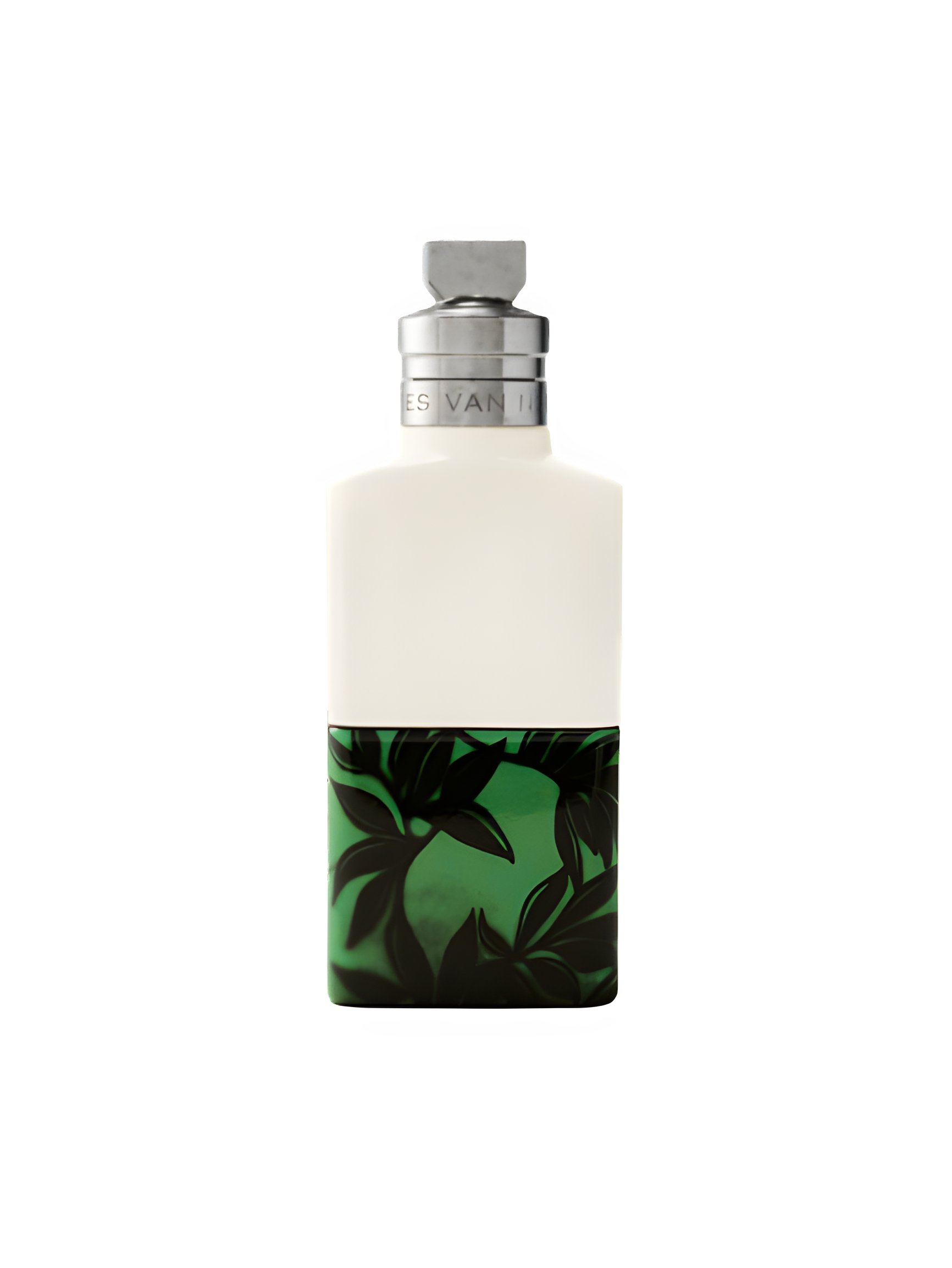 Picture of Santal Greenery fragrance