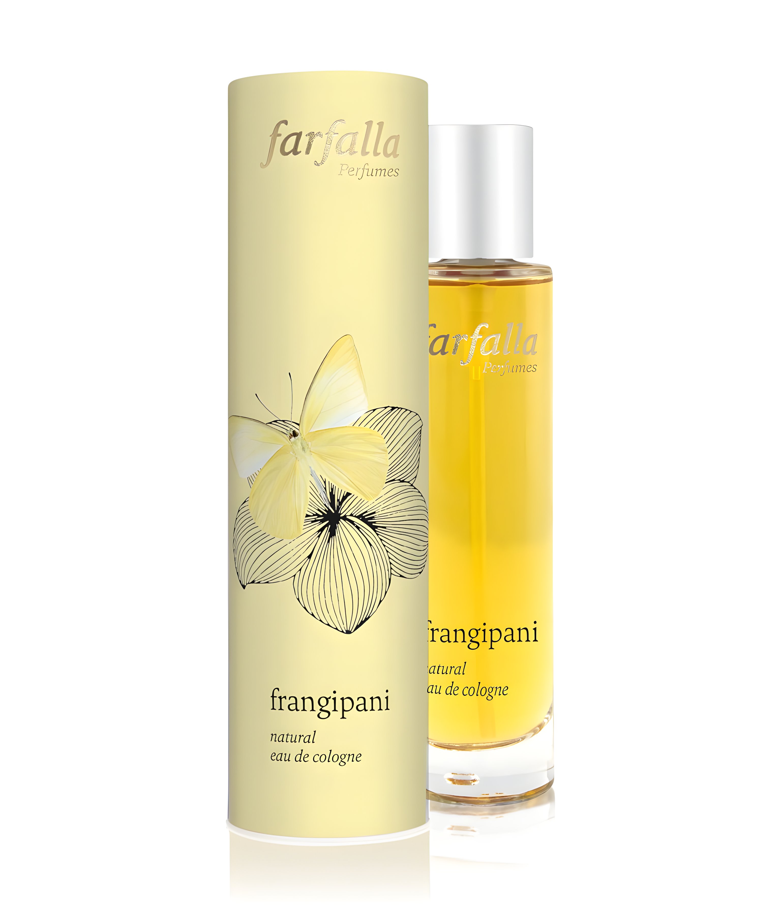 Picture of Frangipani fragrance