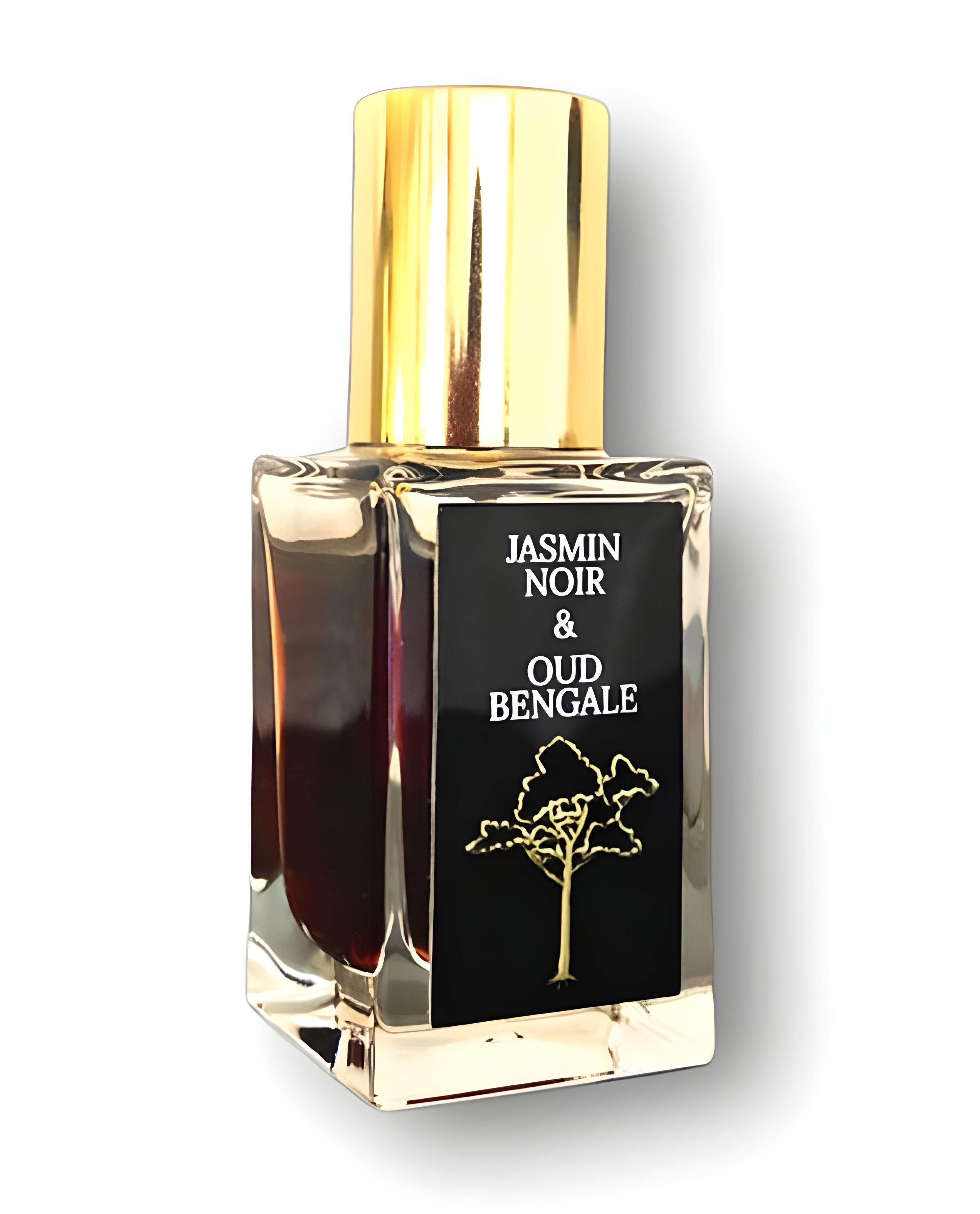 Picture of Jasmin Noir & Oud Bengale fragrance