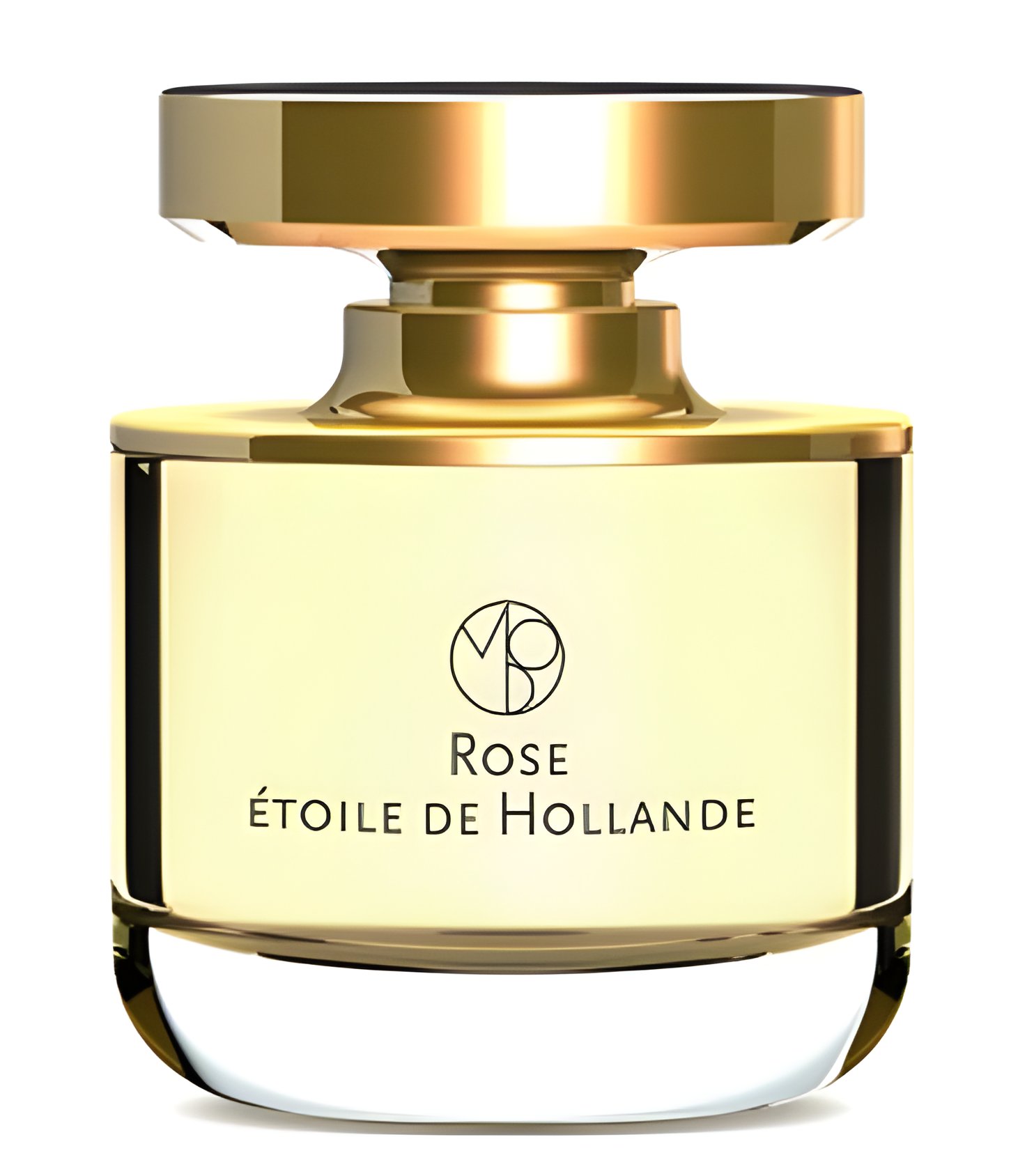 Picture of Rose Etoile de Hollande fragrance