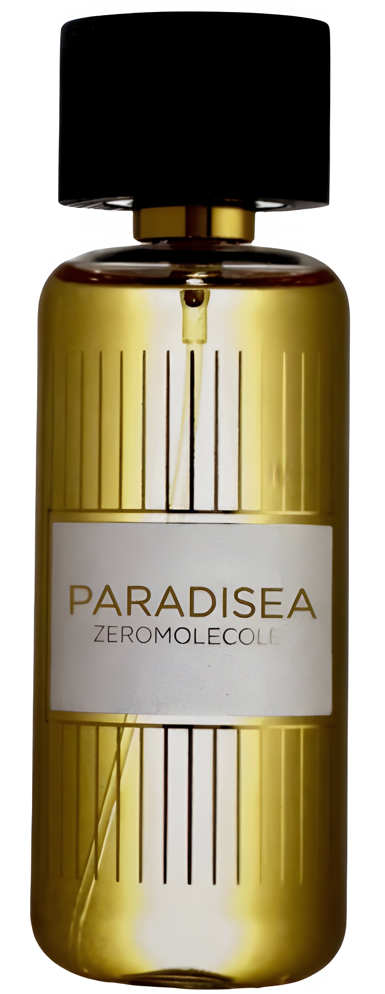 Picture of Paradisea fragrance