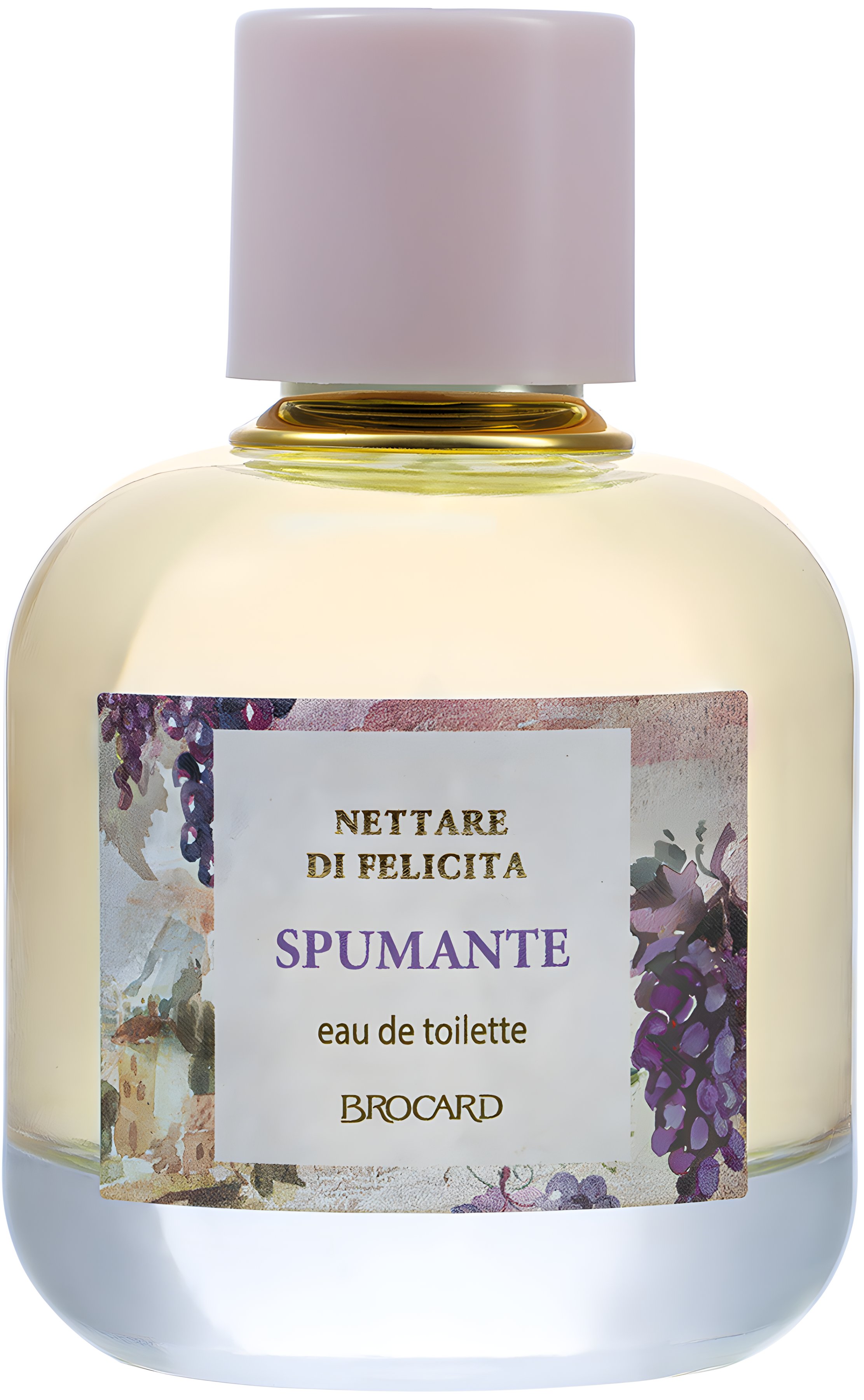 Picture of Spumante fragrance