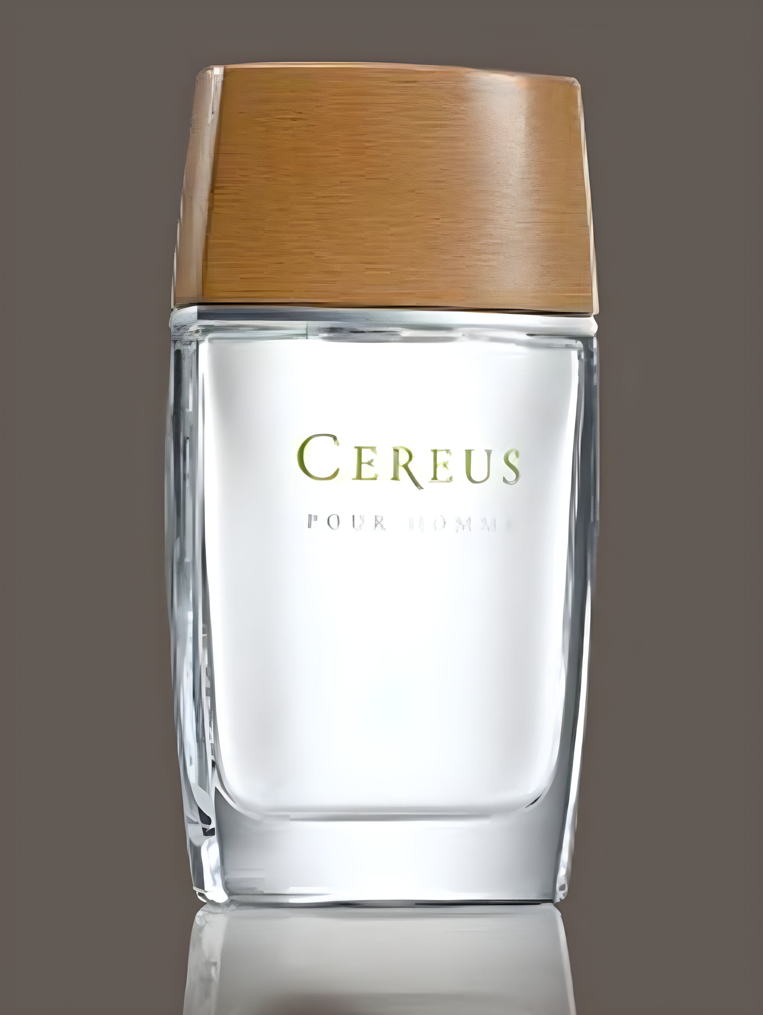 Picture of Cereus No.4 fragrance