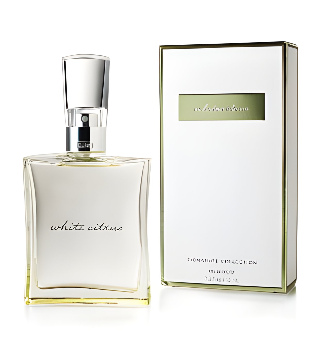 Picture of White Citrus Eau de Toilette fragrance