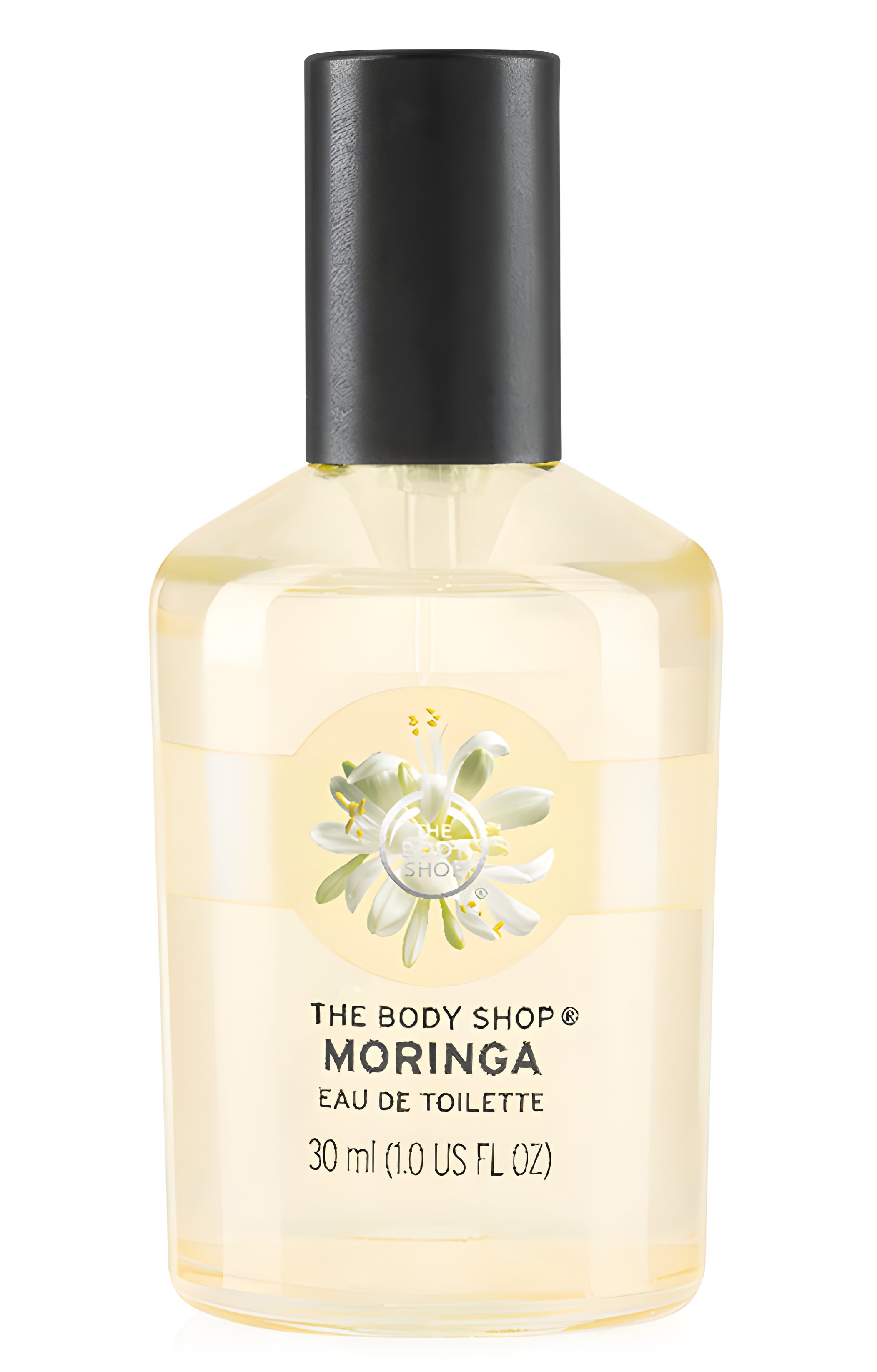 Picture of Moringa fragrance