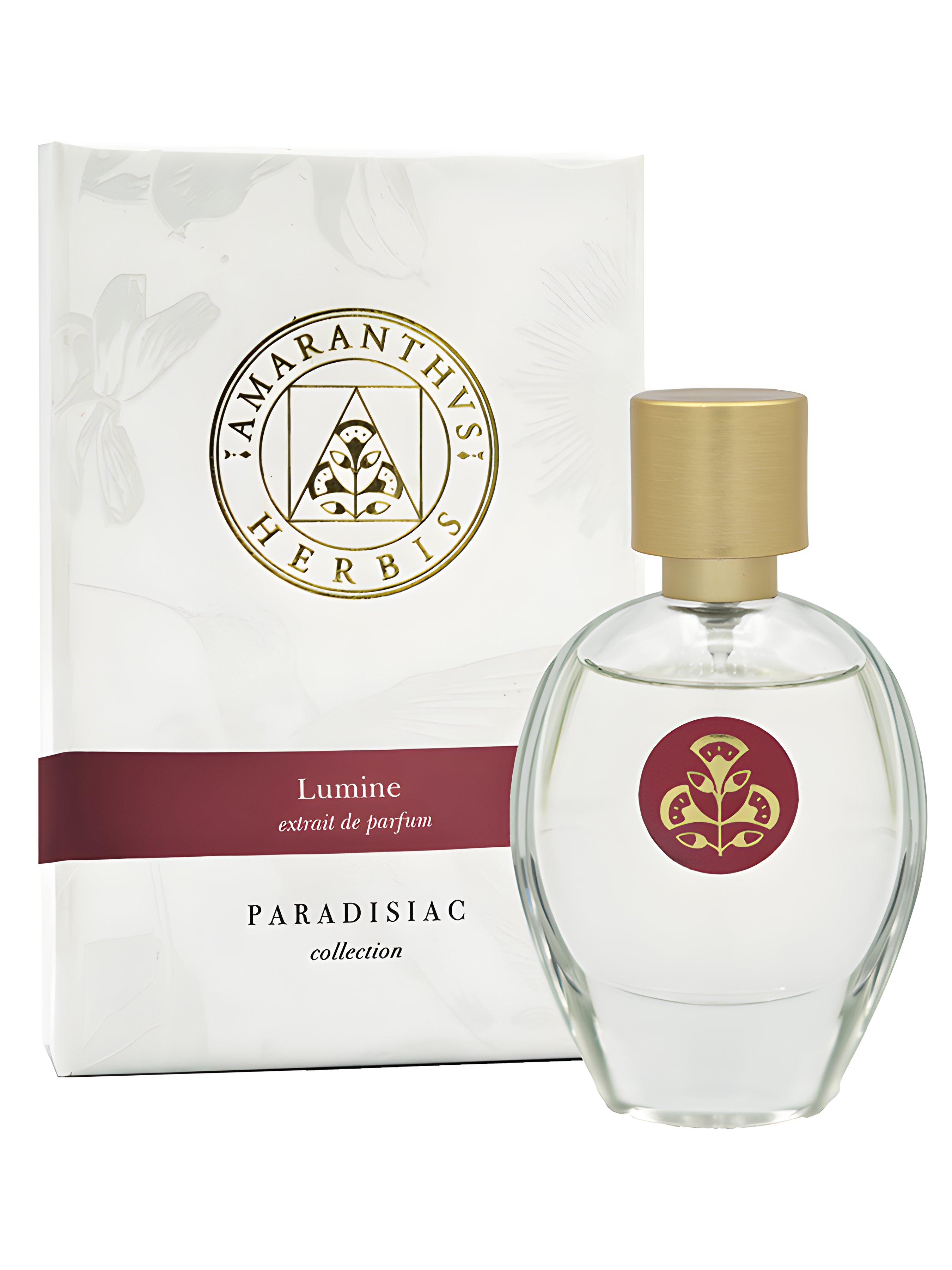 Picture of Lumine fragrance