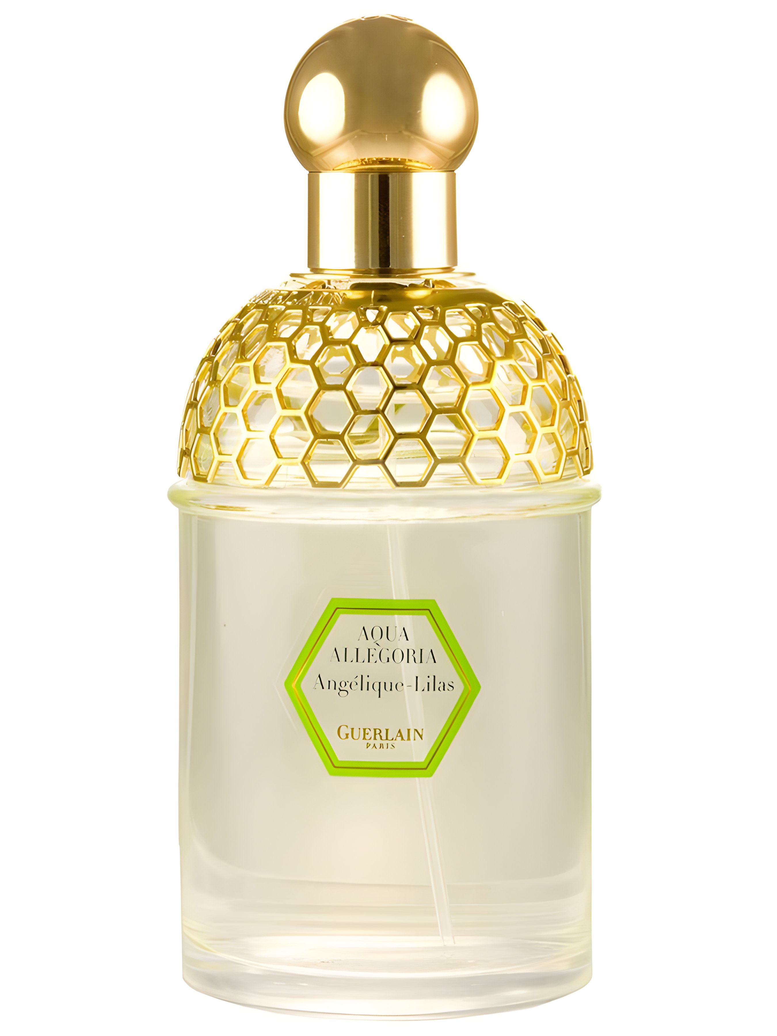 Picture of Aqua Allegoria Angelique Lilas fragrance