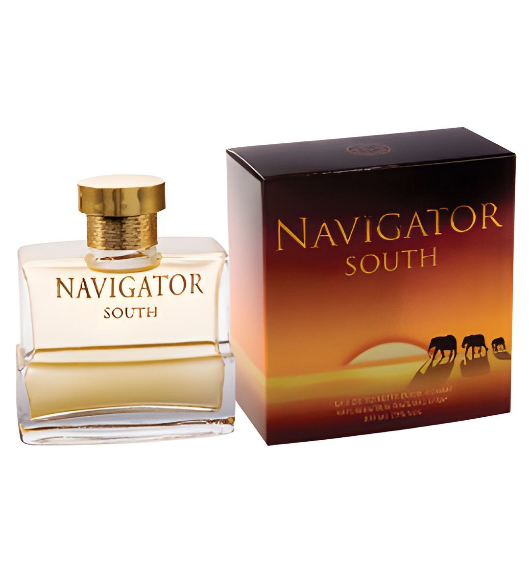 Picture of Navigator South fragrance