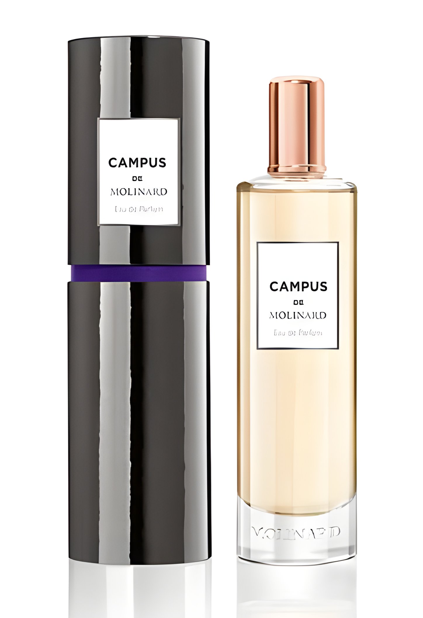 Picture of Campus fragrance