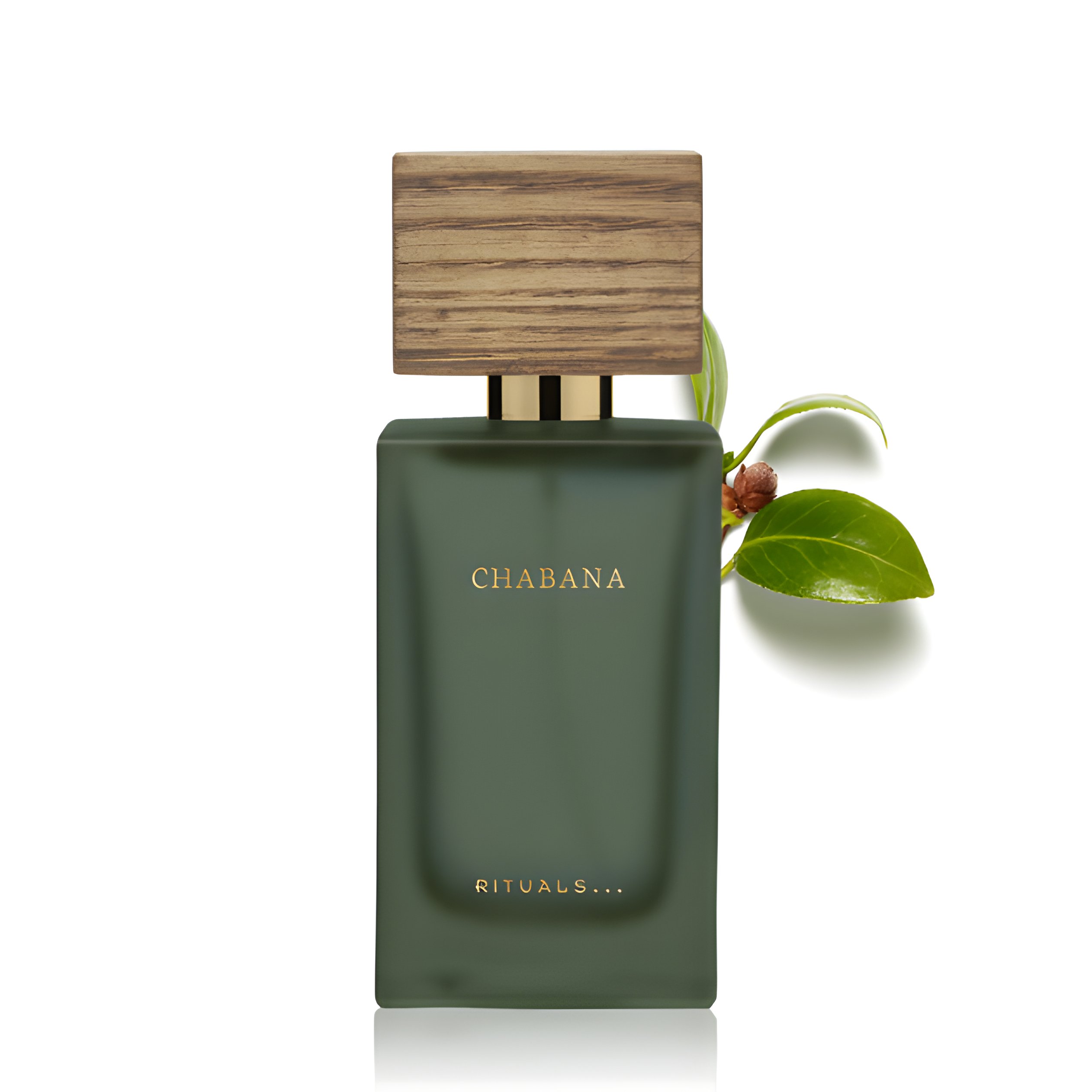 Picture of Chabana fragrance