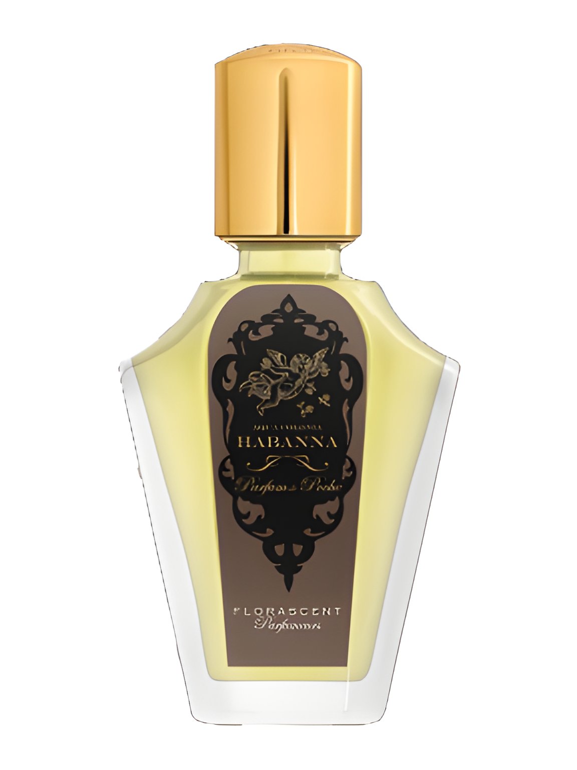 Picture of Habanna fragrance