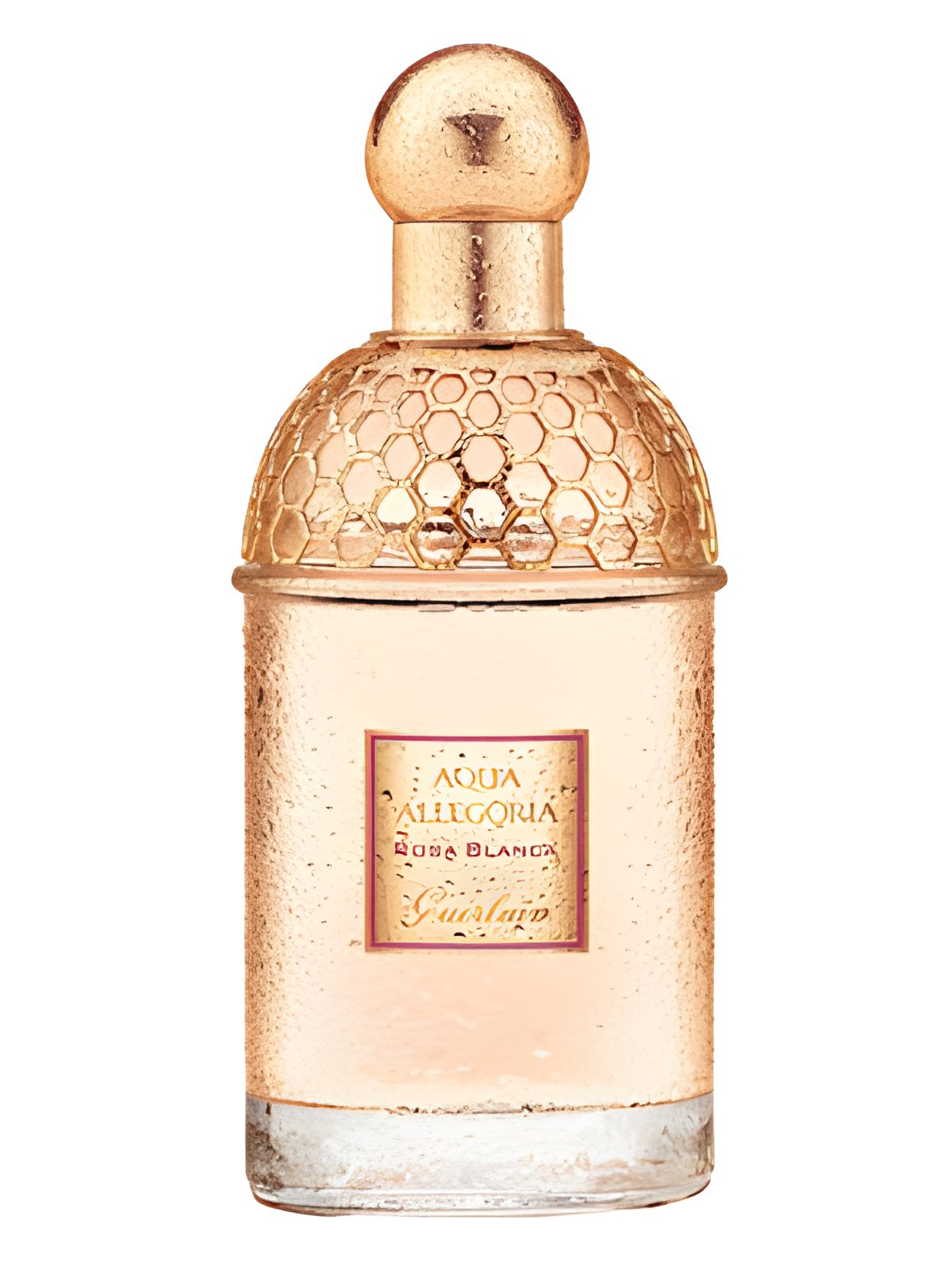 Picture of Aqua Allegoria Rosa Blanca fragrance