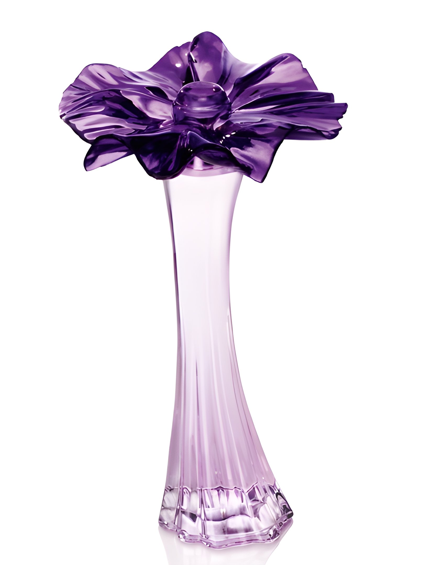 Picture of Muse fragrance