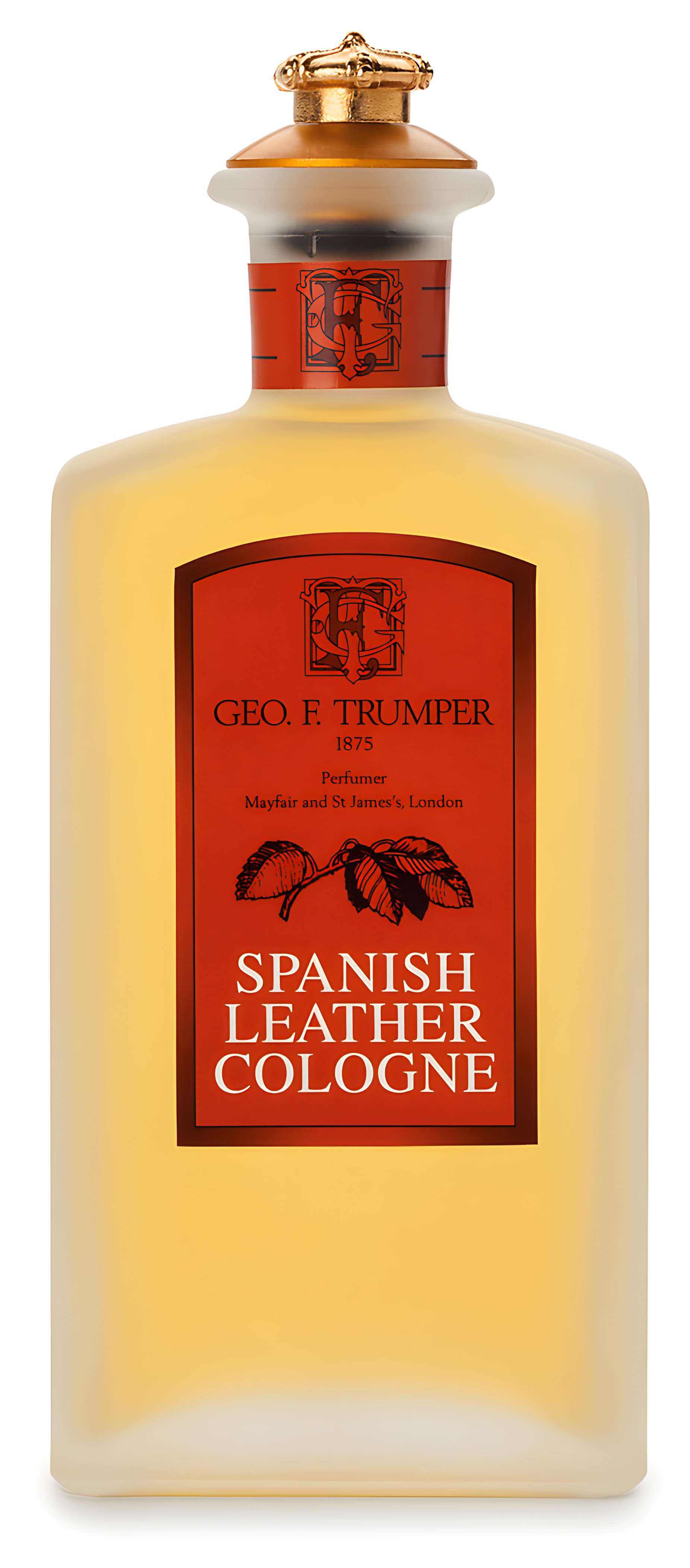 Picture of Spanish Leather Cologne fragrance