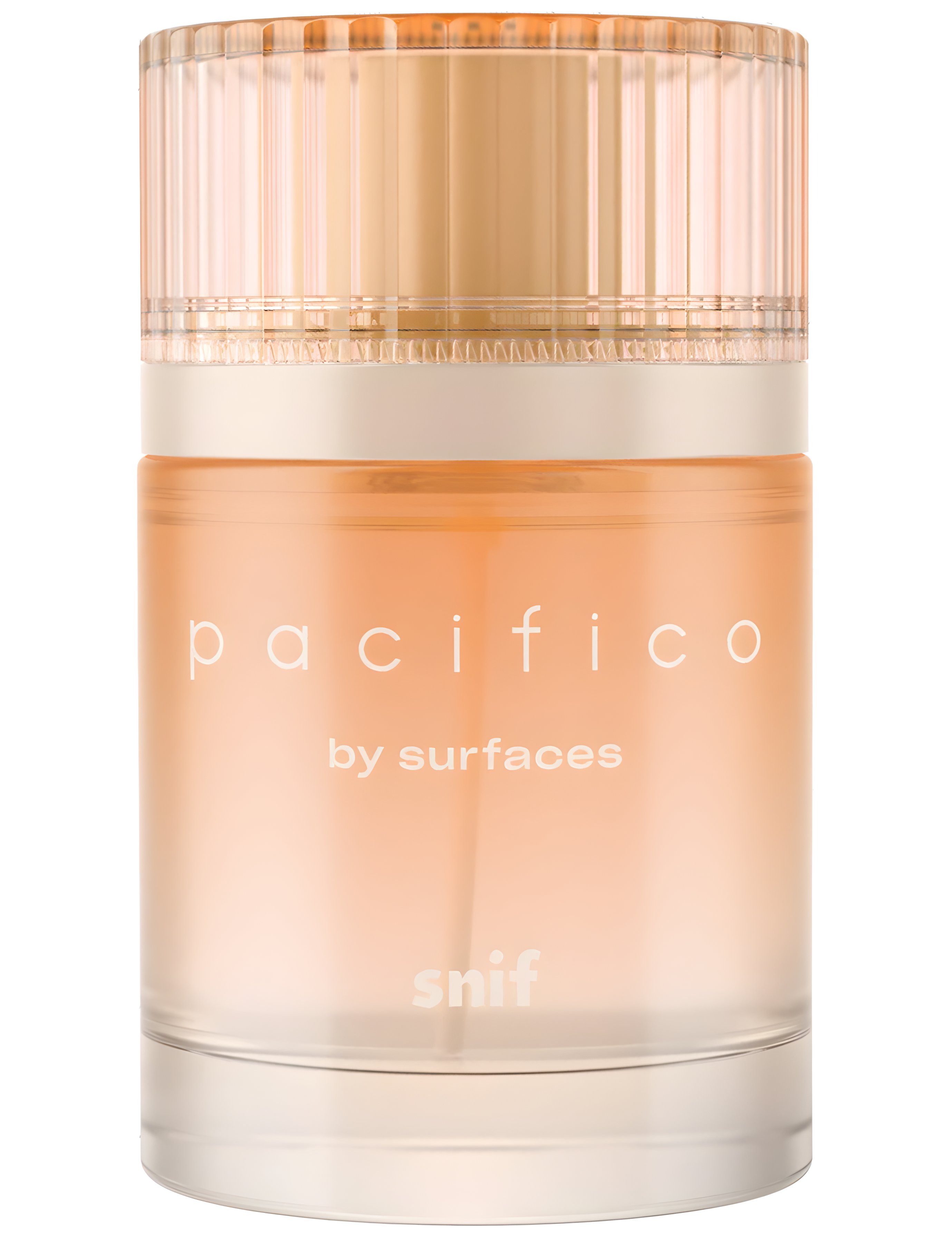 Picture of Pacifico by Surfaces fragrance