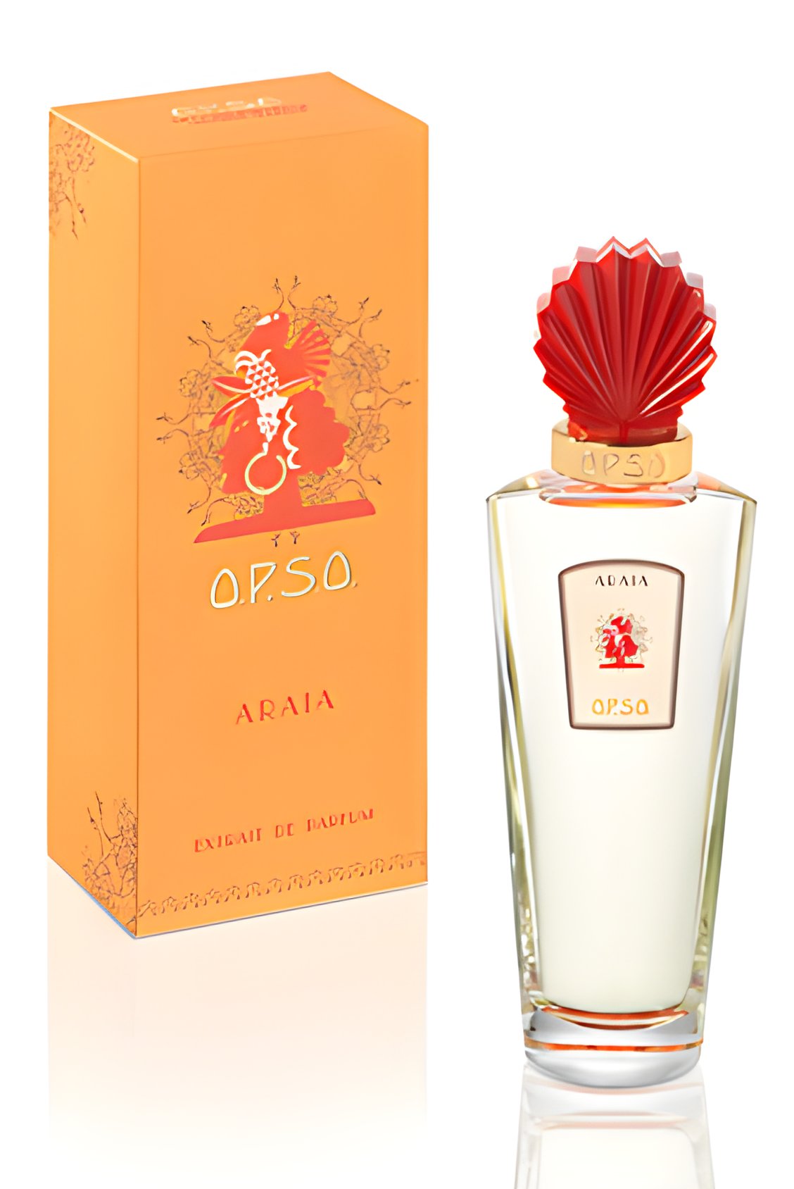 Picture of Araia fragrance