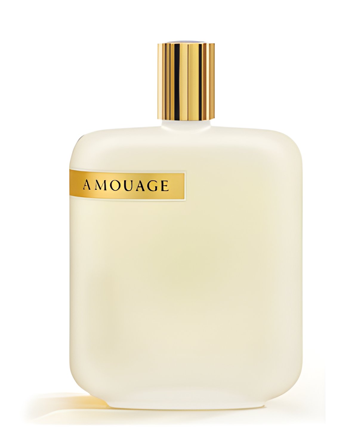 Picture of The Library Collection Opus II fragrance