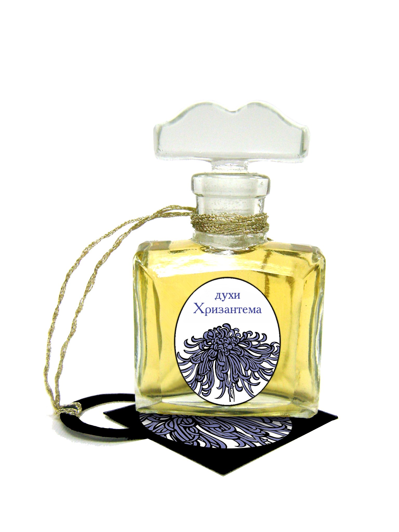 Picture of Hrisantema Хризантема fragrance