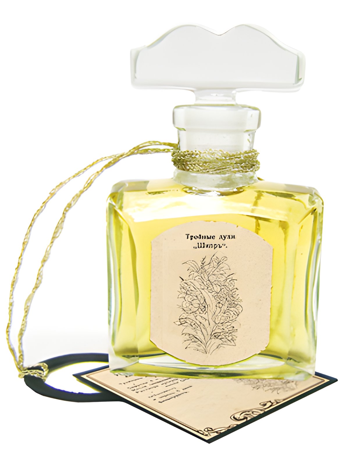 Picture of Chypre fragrance