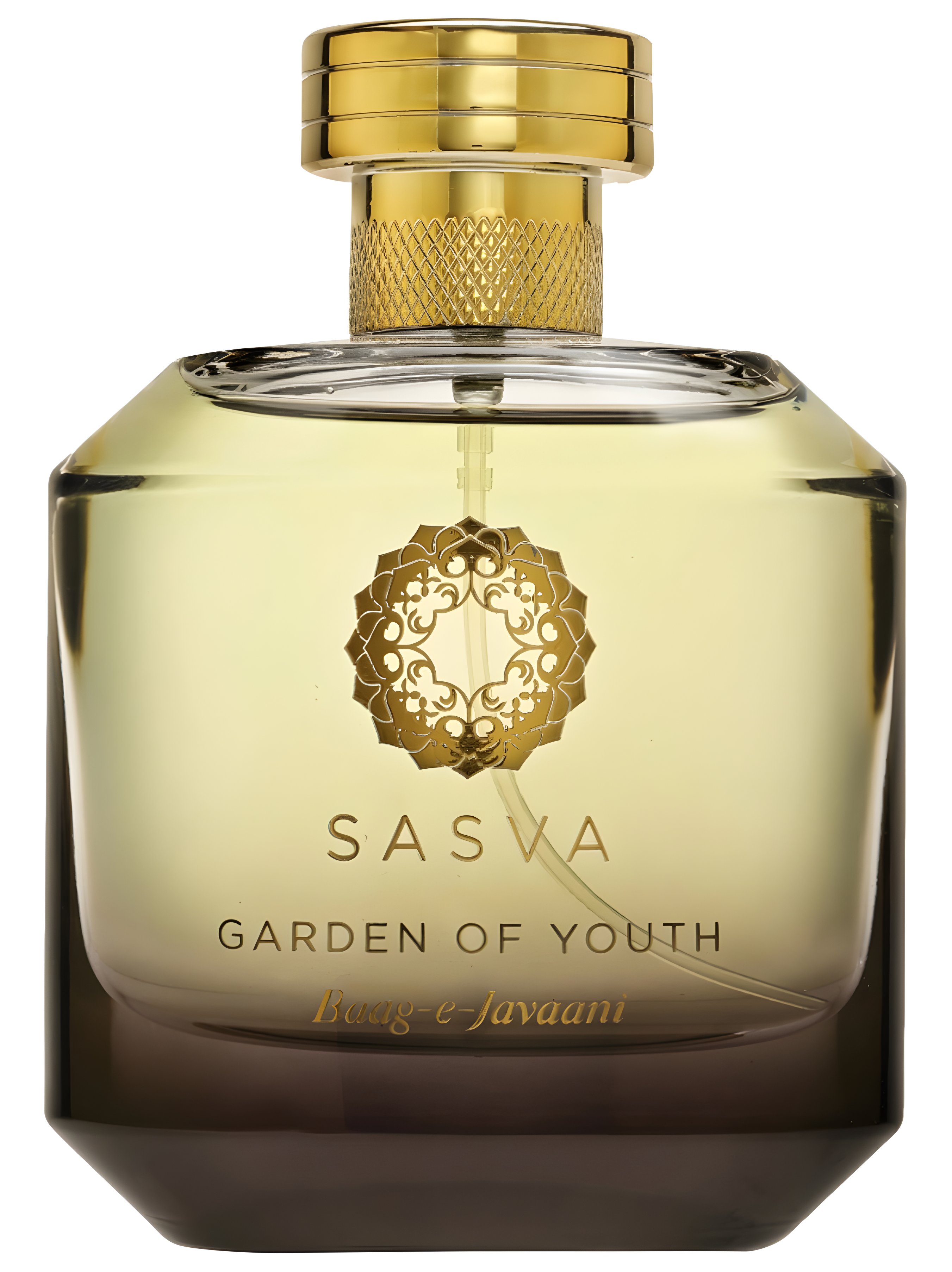 Picture of Garden of Youth Baag-E-Javaani fragrance