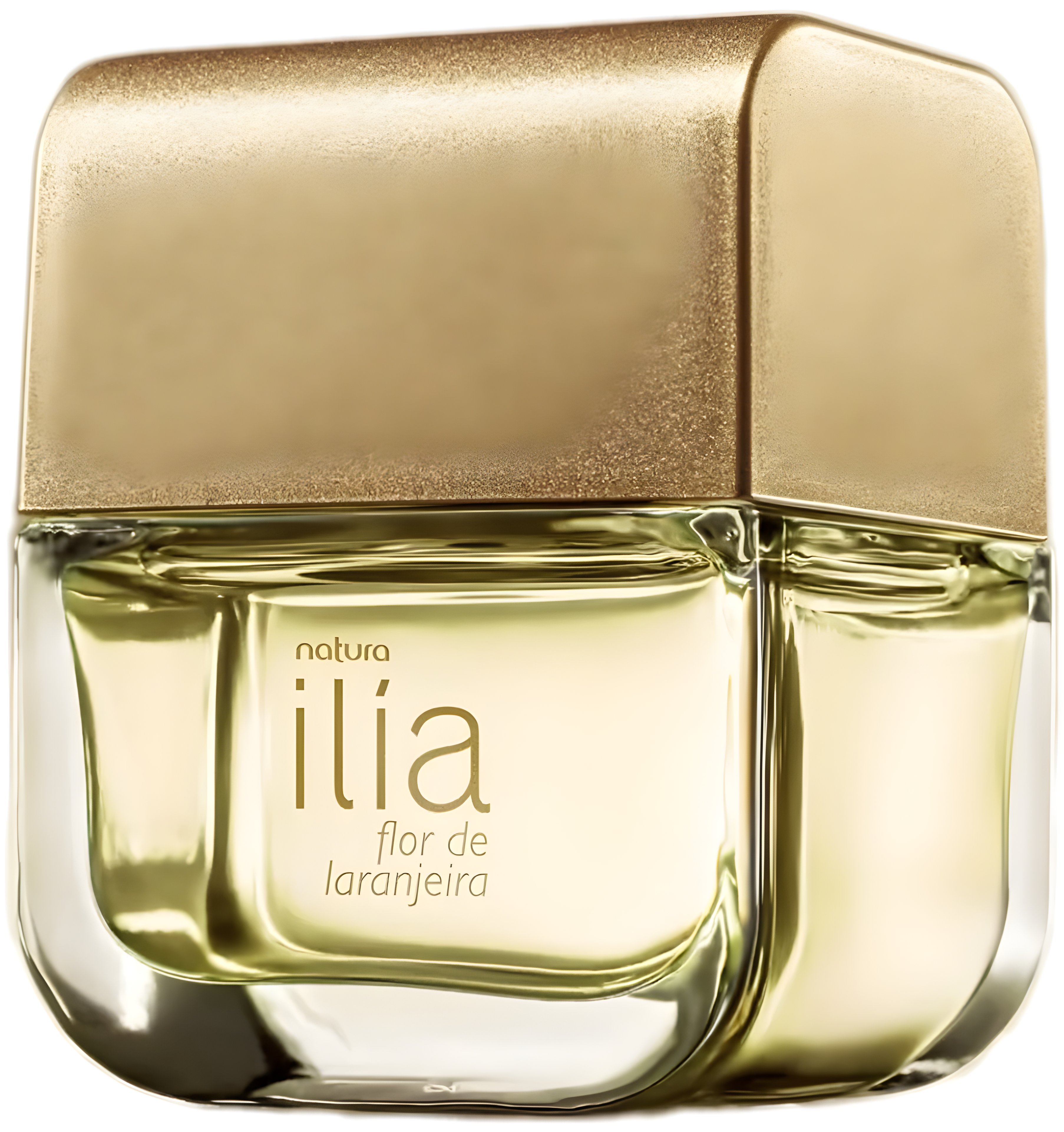 Picture of Ilía Flor de Laranjeira fragrance