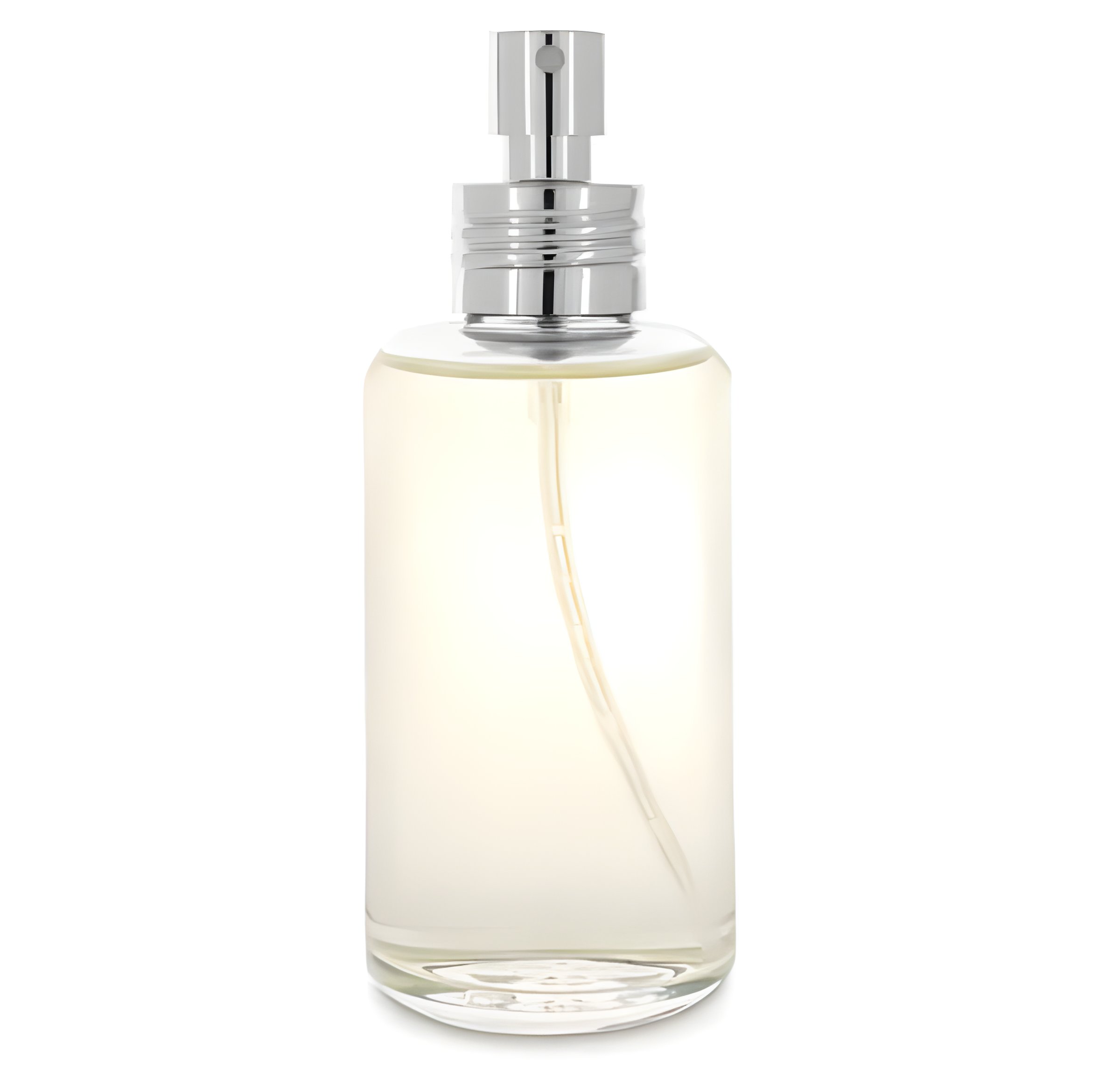 Picture of Disobbedienza fragrance